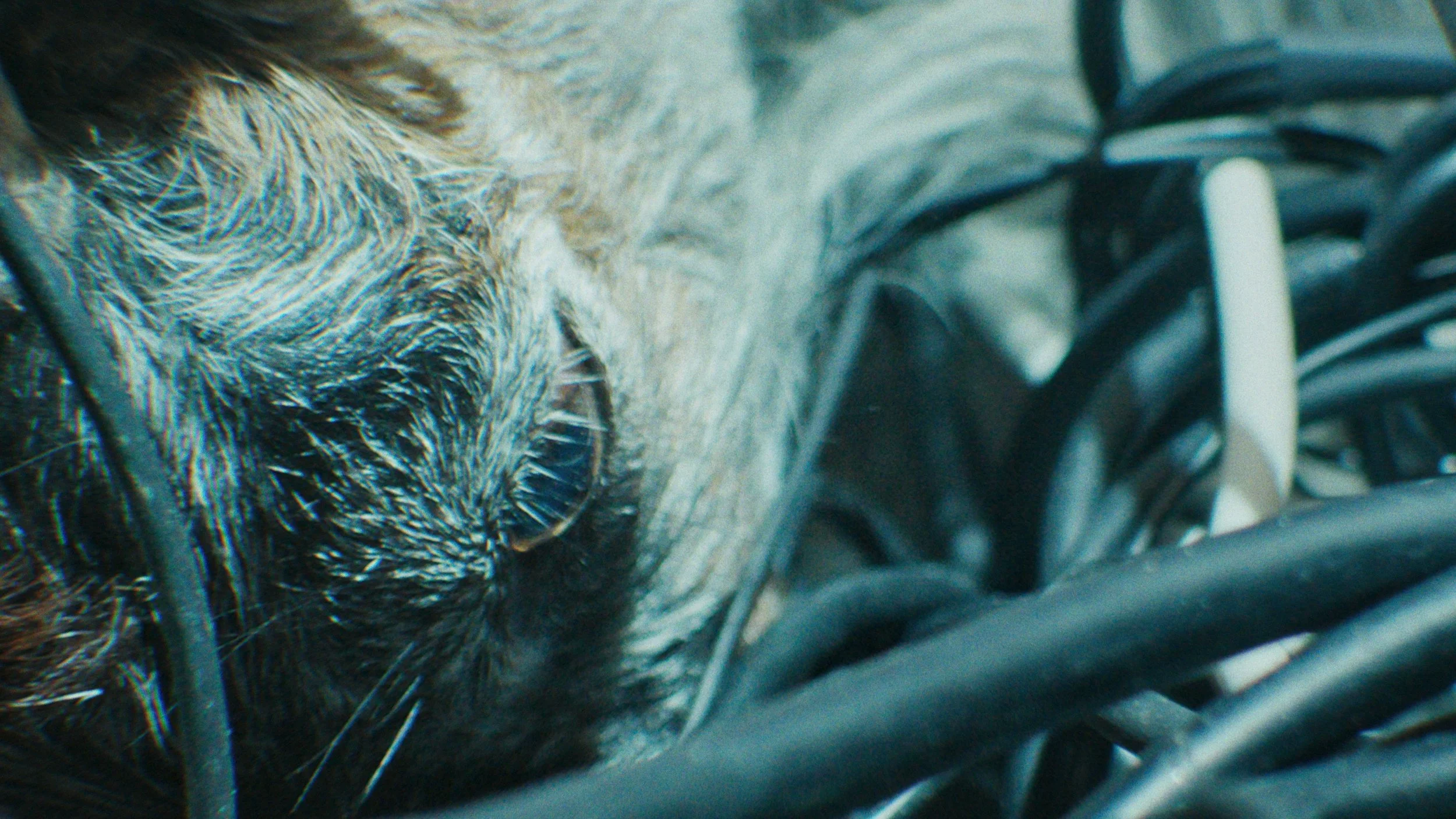 upsidedown_still52.jpg