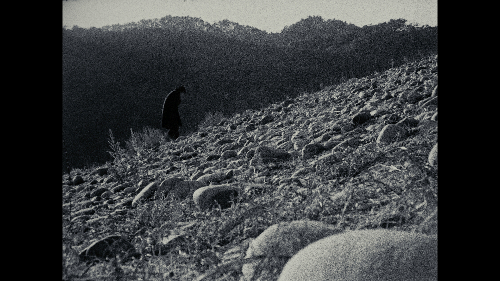 ALEPH '미워하지마' MV