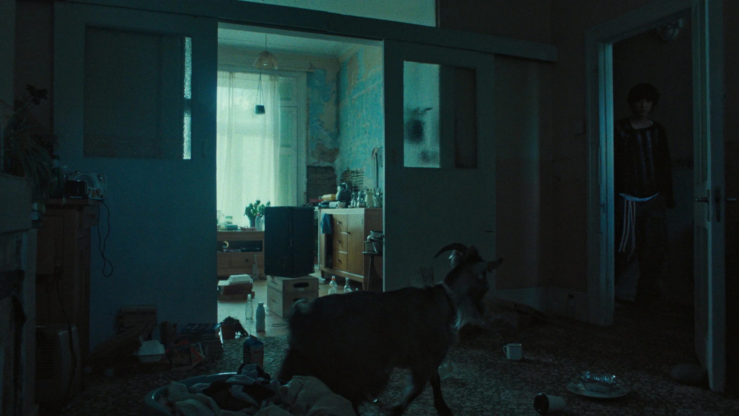 upsidedown_still5.jpg