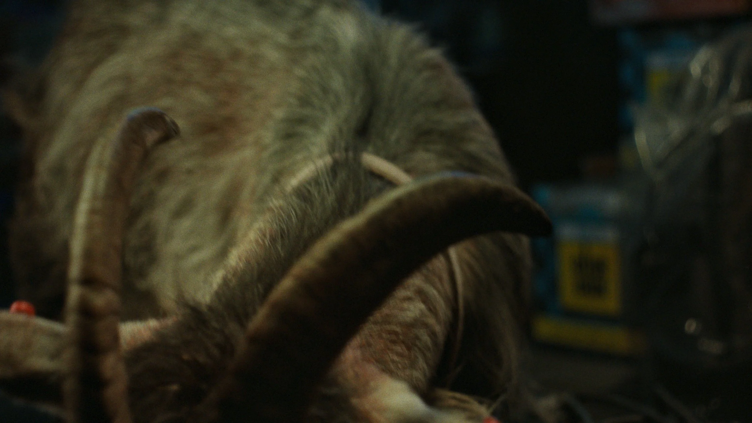 upsidedown_still41.jpg