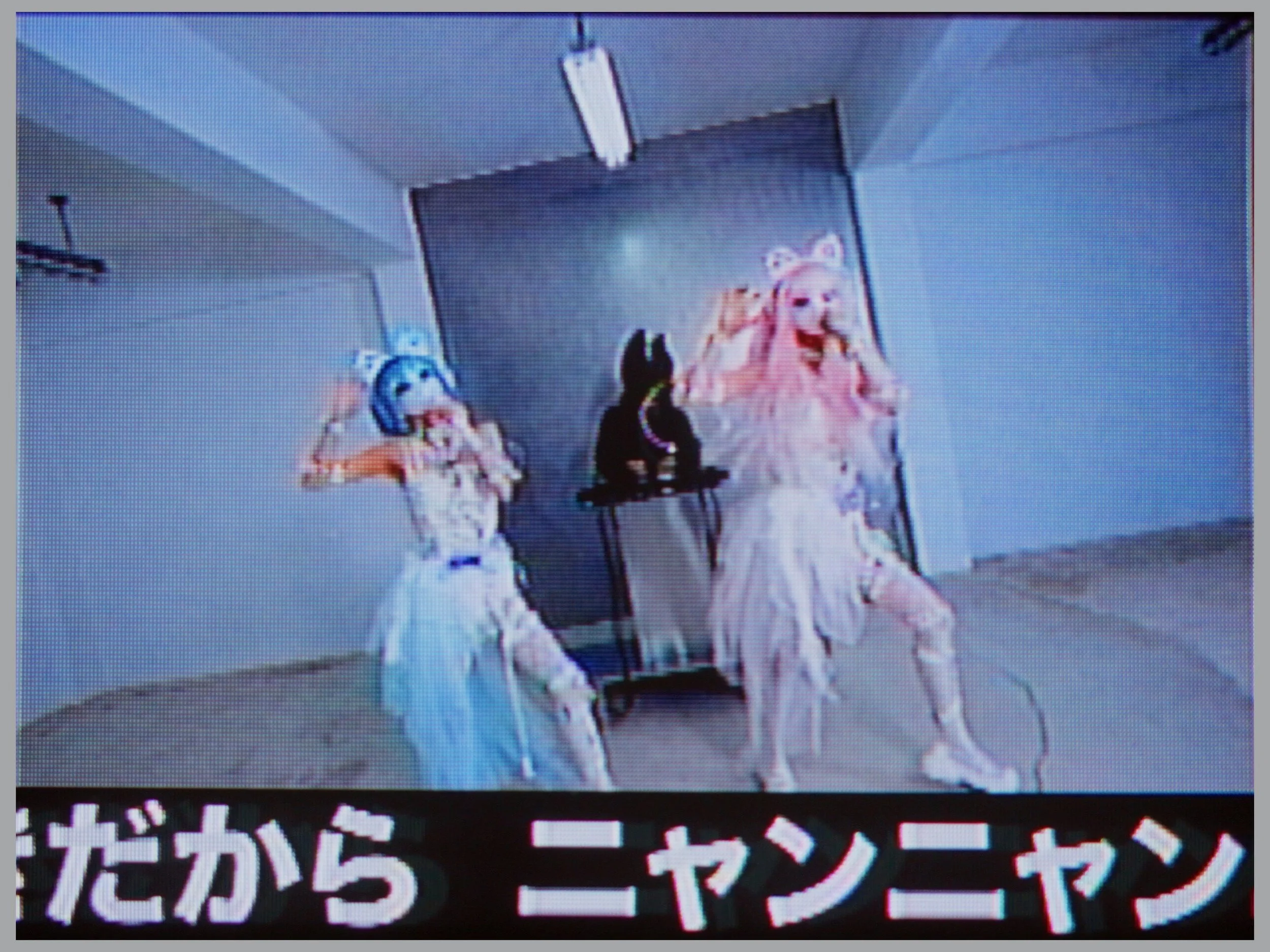 skdkr00_still_34.jpg