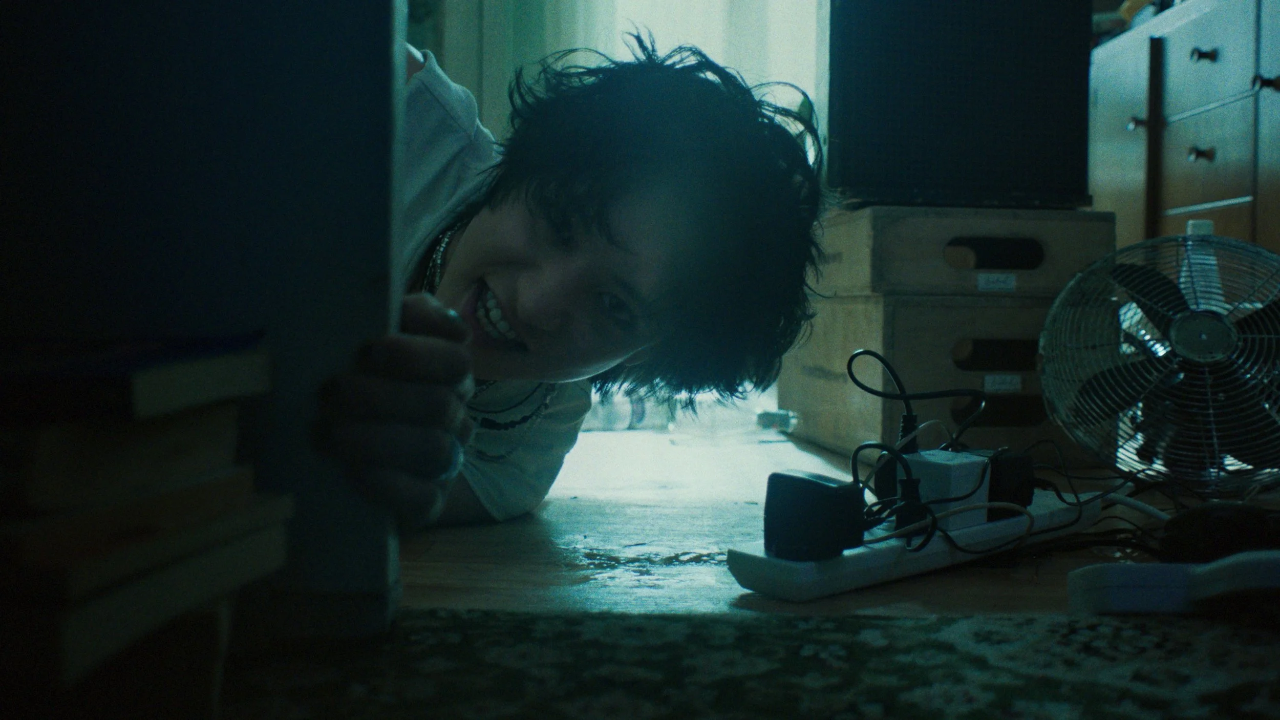 upsidedown_still26.jpg