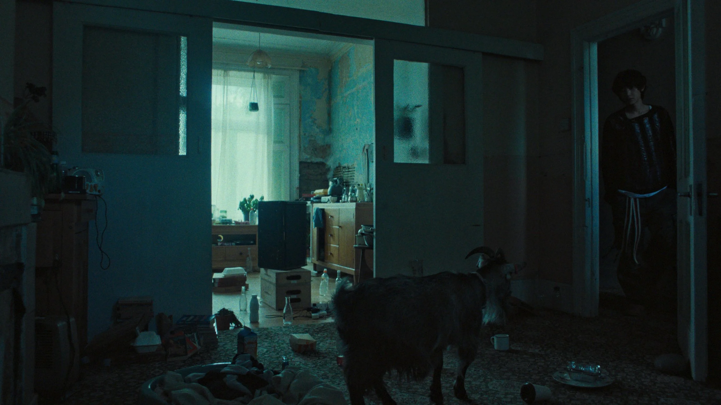 upsidedown_still7.jpg