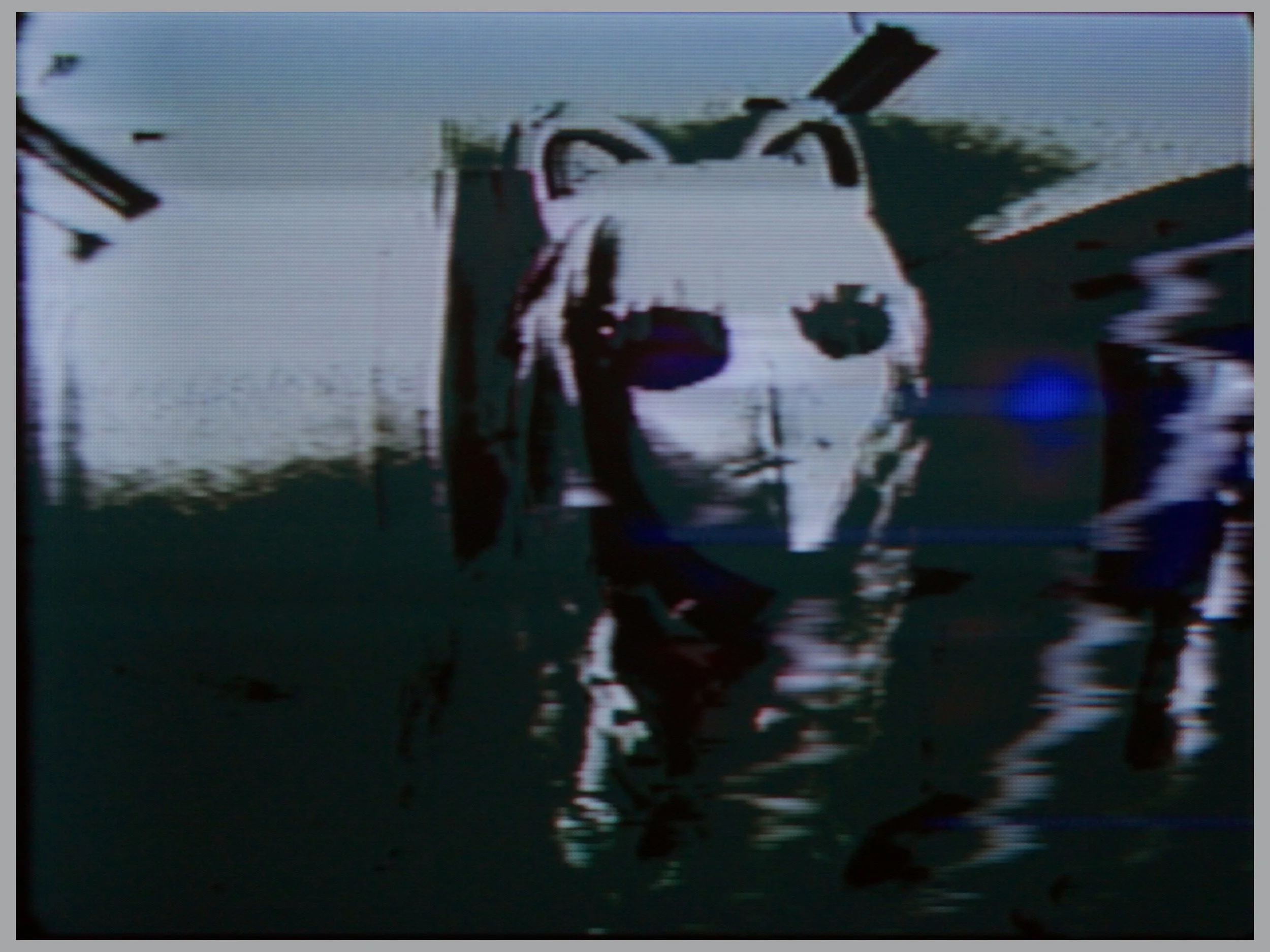 skdkr00_still_111.jpg