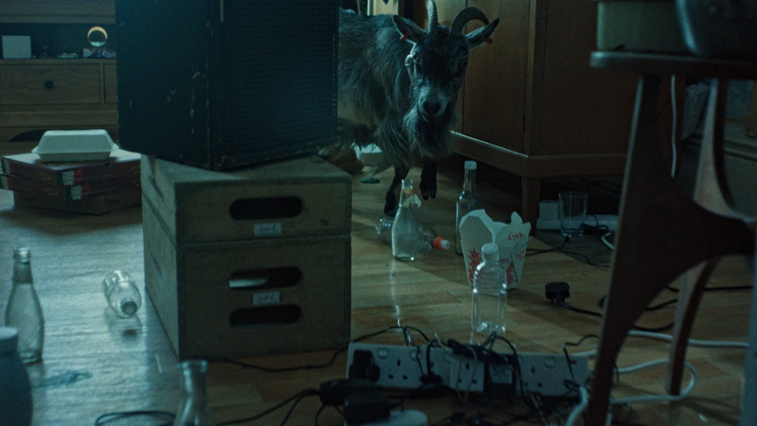upsidedown_still6.jpg