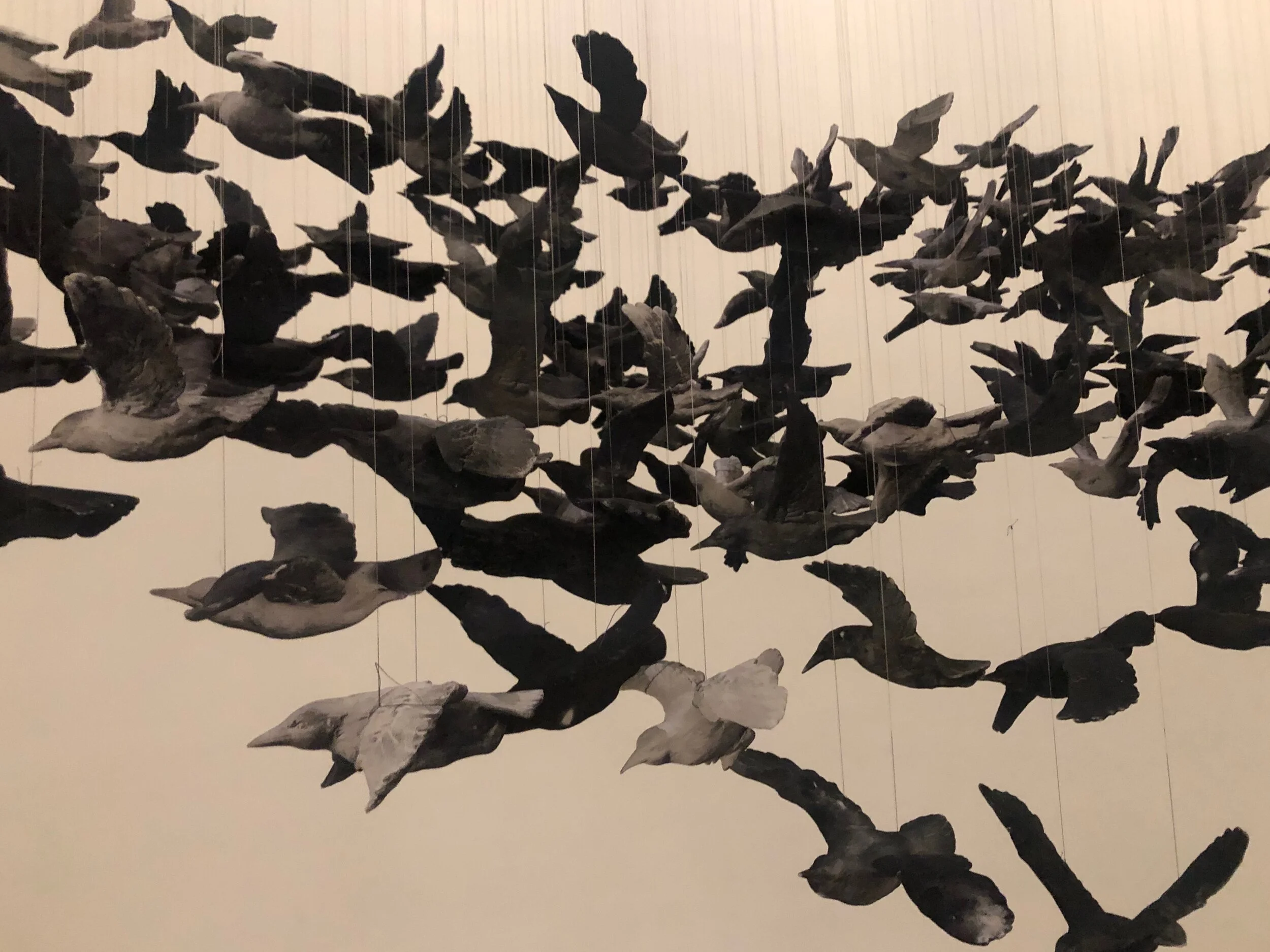 My Truth On My Healing Journey 