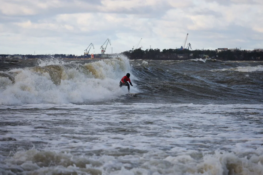 WhatsApp Image 2024-11-03 at 17.48.51.jpeg