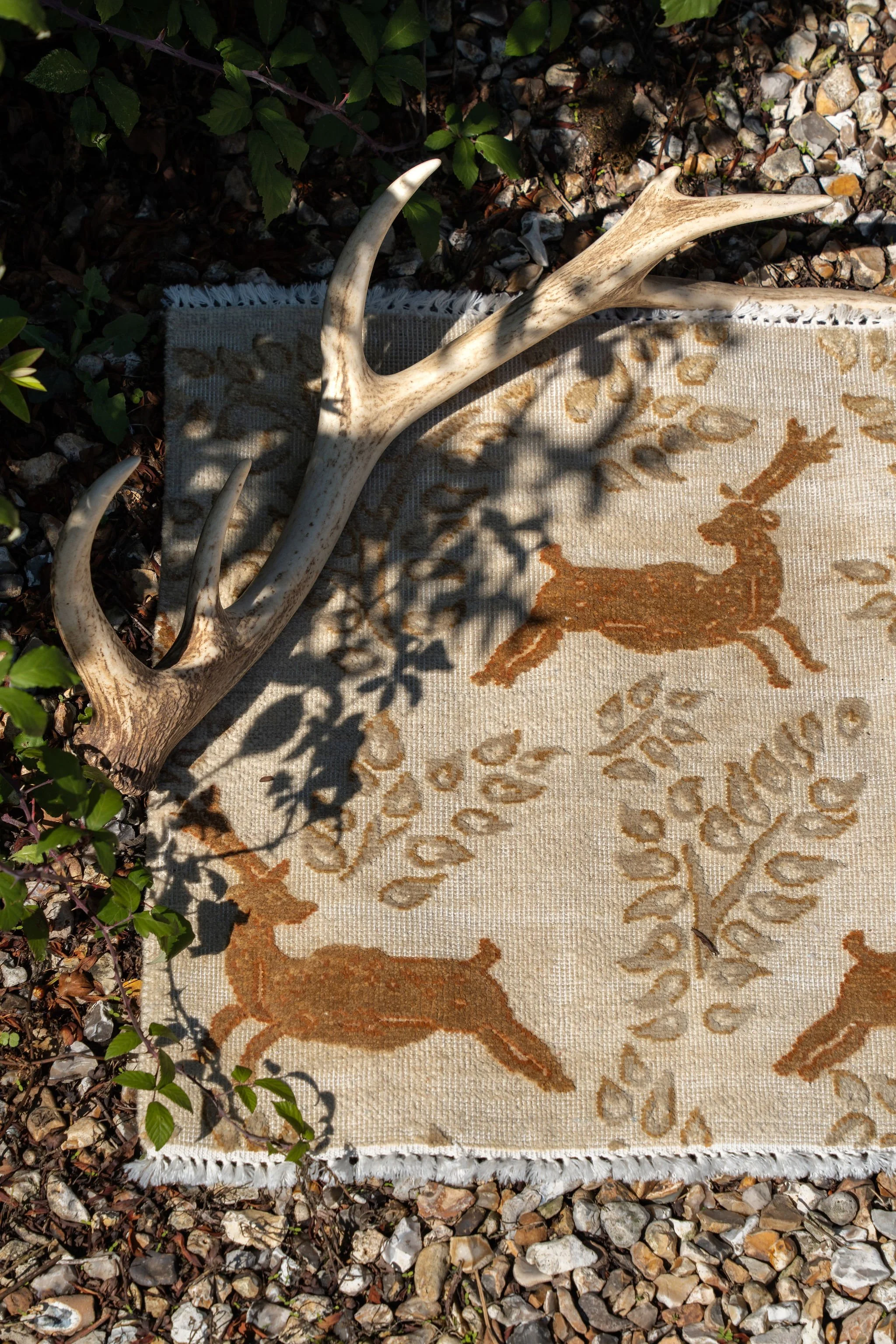 Tim Page Carpets from t&g 19.jpg