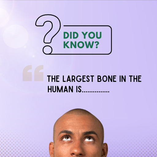 Untitled (512 x 512 px) (8).png