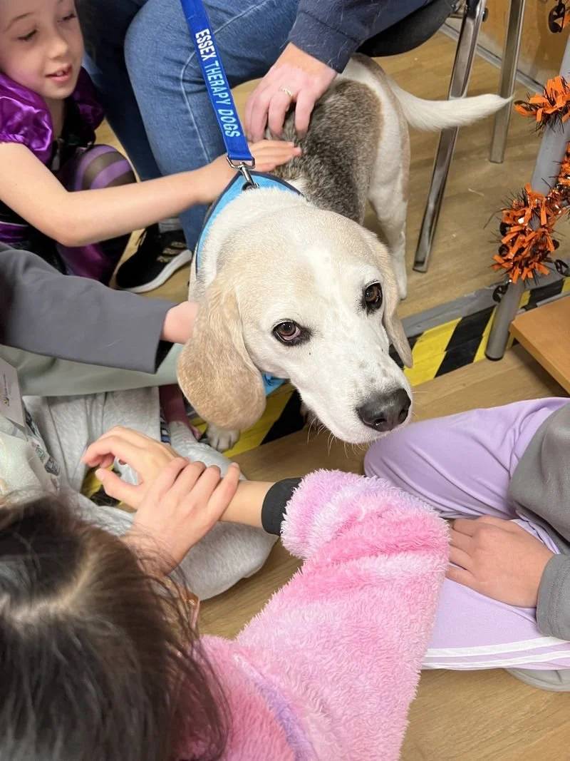 Three children sit around petting an Essex Therapy Dog at Kids Inspire Holiday Club