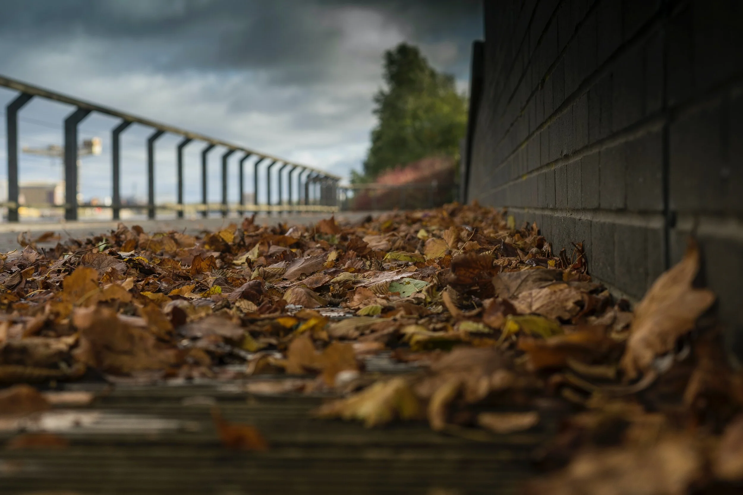 The Govan Unity Outreach Project