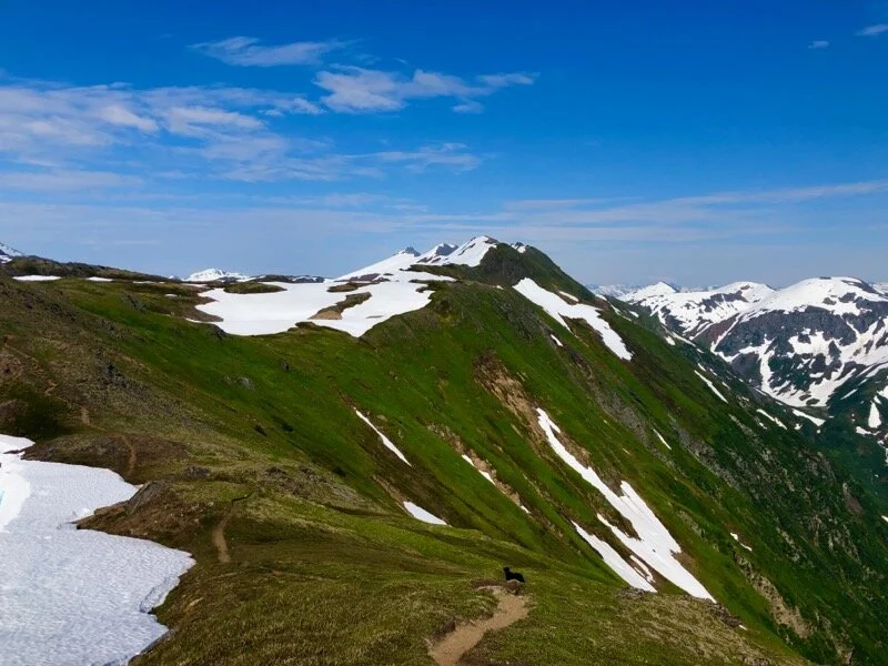 Juneau’s Big 5 — Wanderlust Alaska