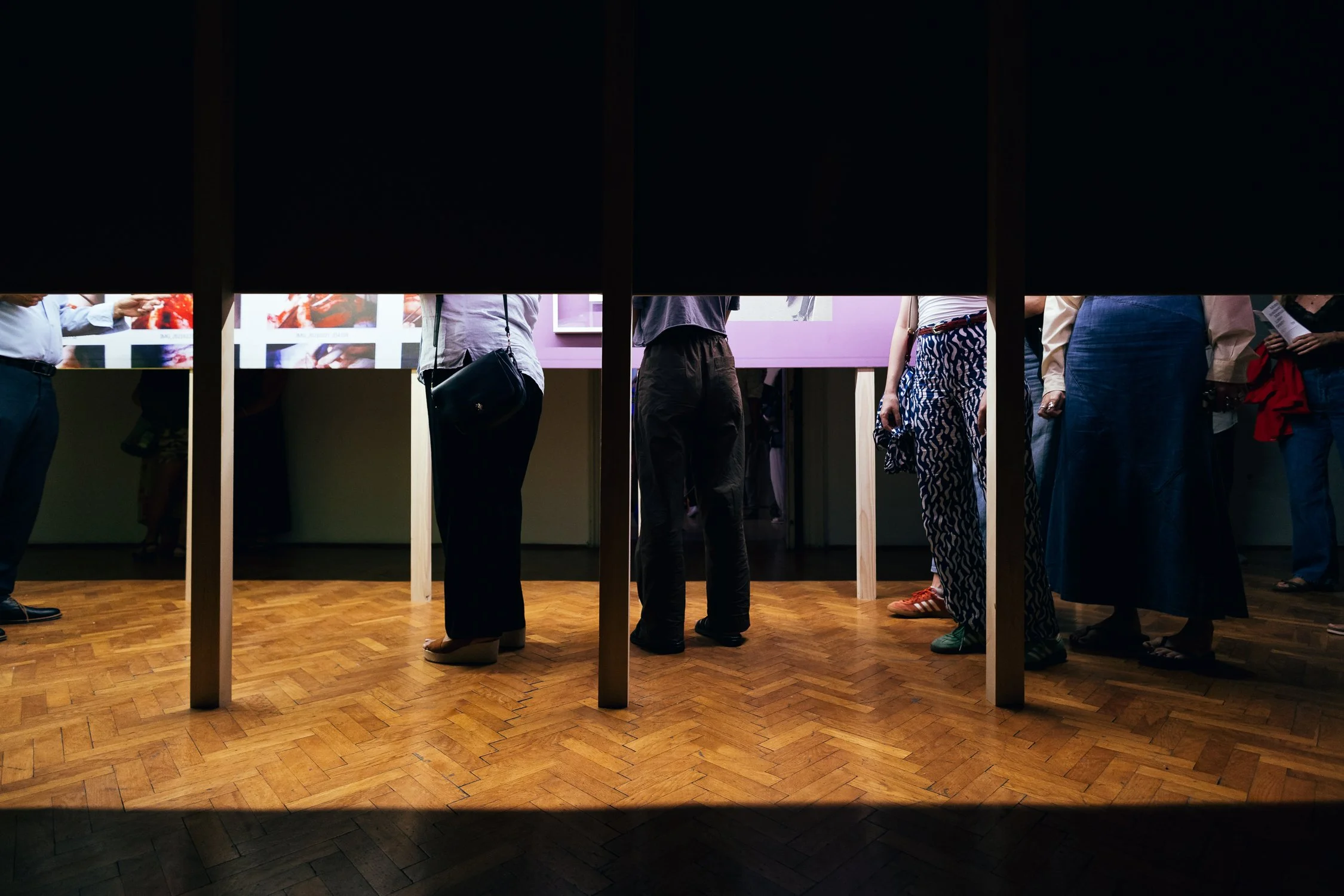 Izlozba_Manus lateri sinistri-54.jpg