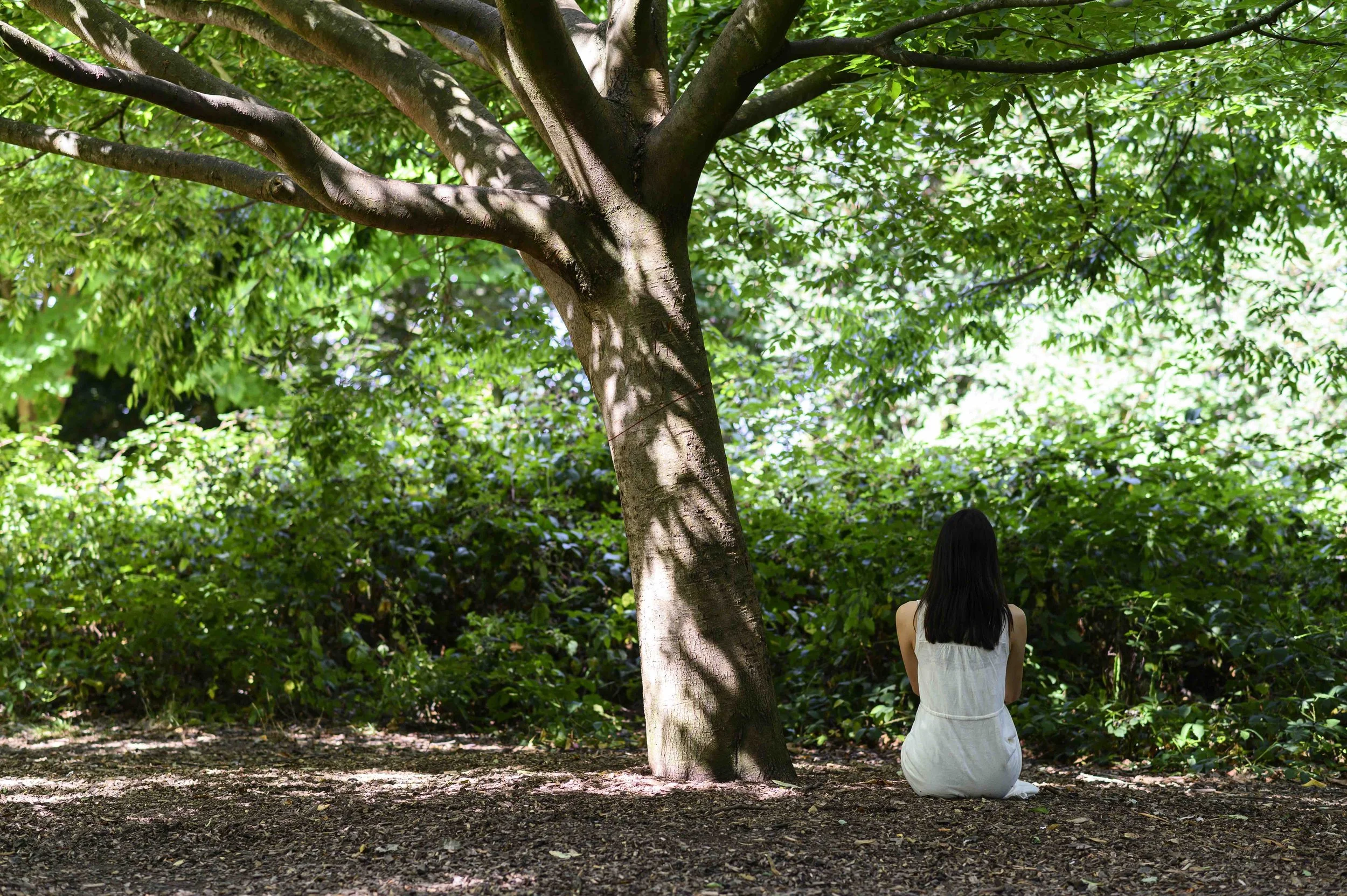 Embodying Earth - Monthly Meditation and Intuitive Movement class in London, UK