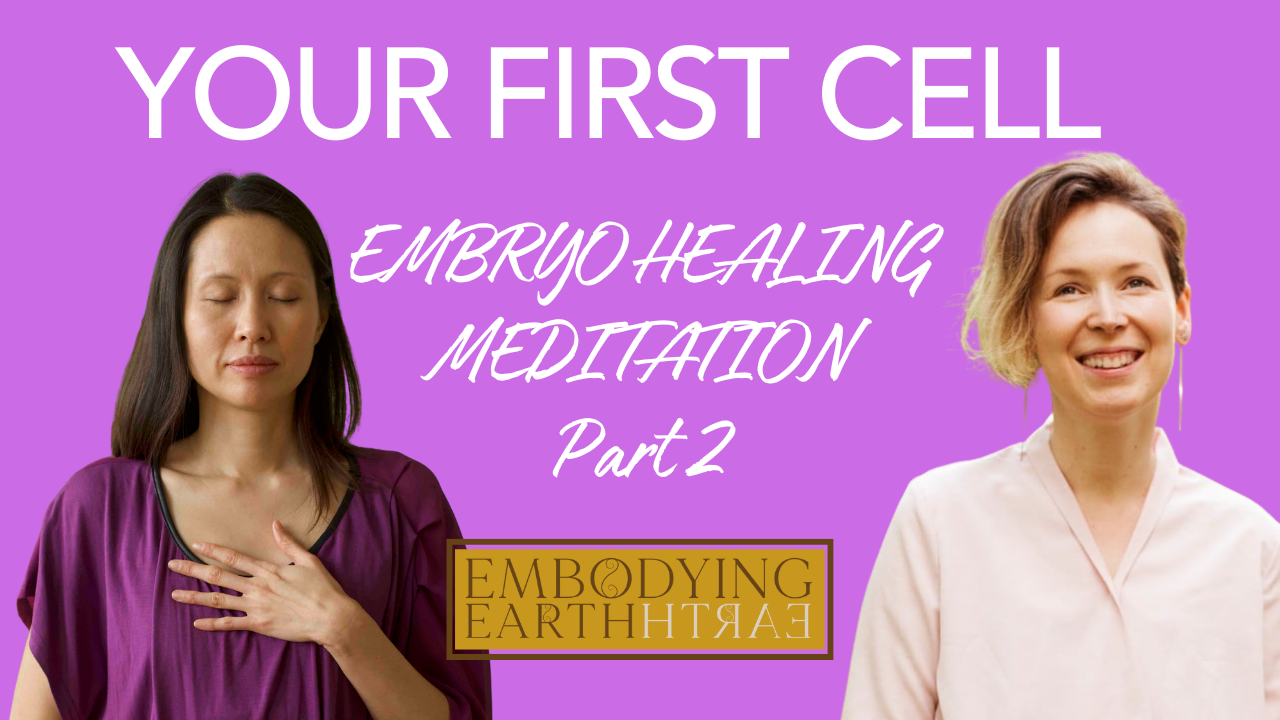 Your First Cell: Embryo Healing Meditation - Part 2