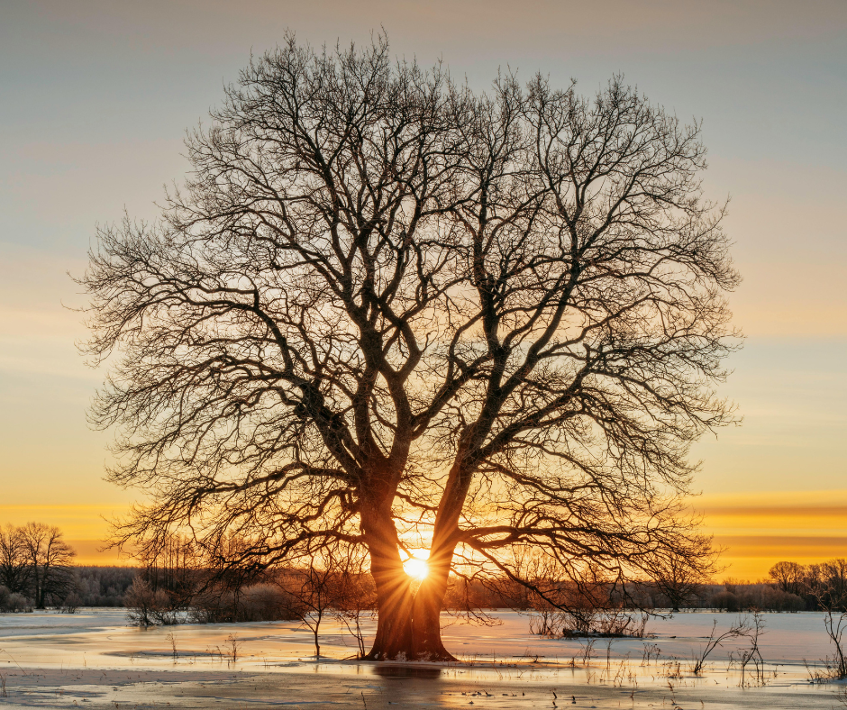 Creating Pockets of Soft, Slow, Still