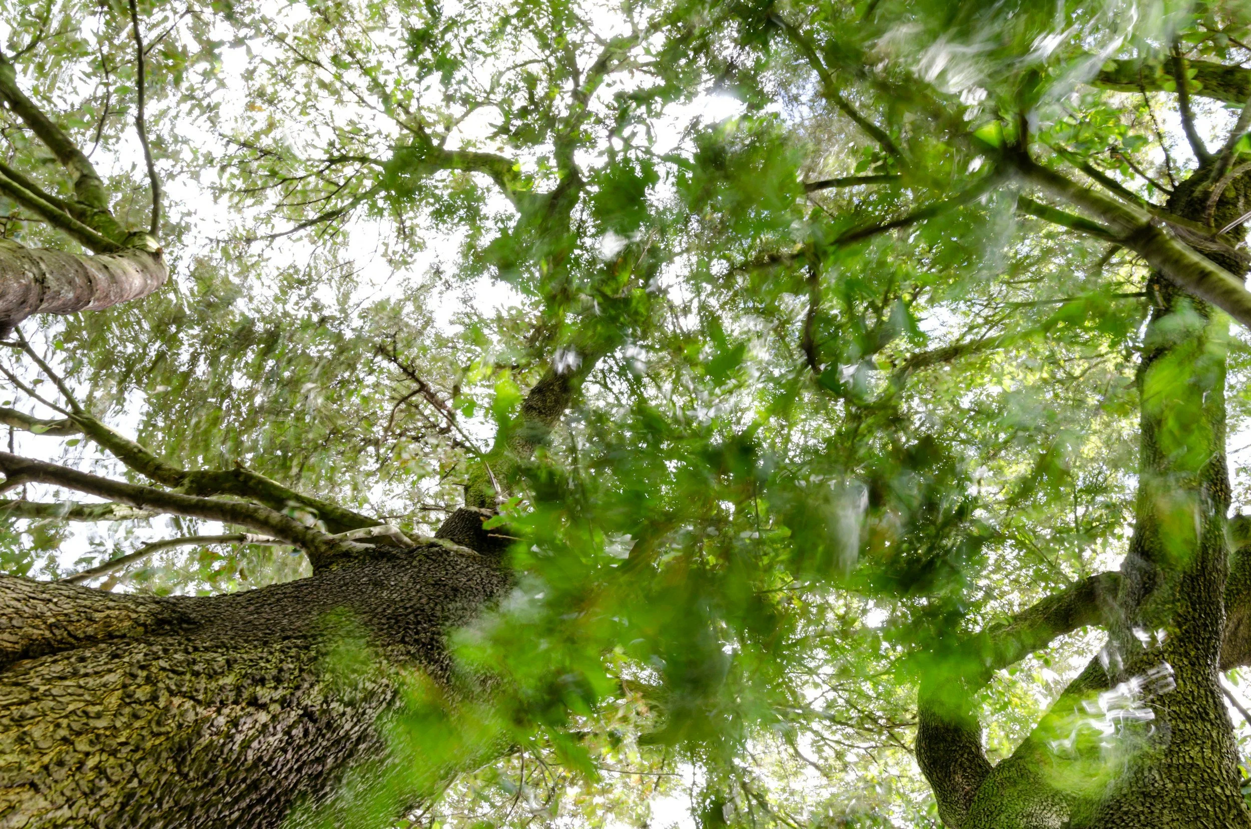 Balancing Steadiness and Flow