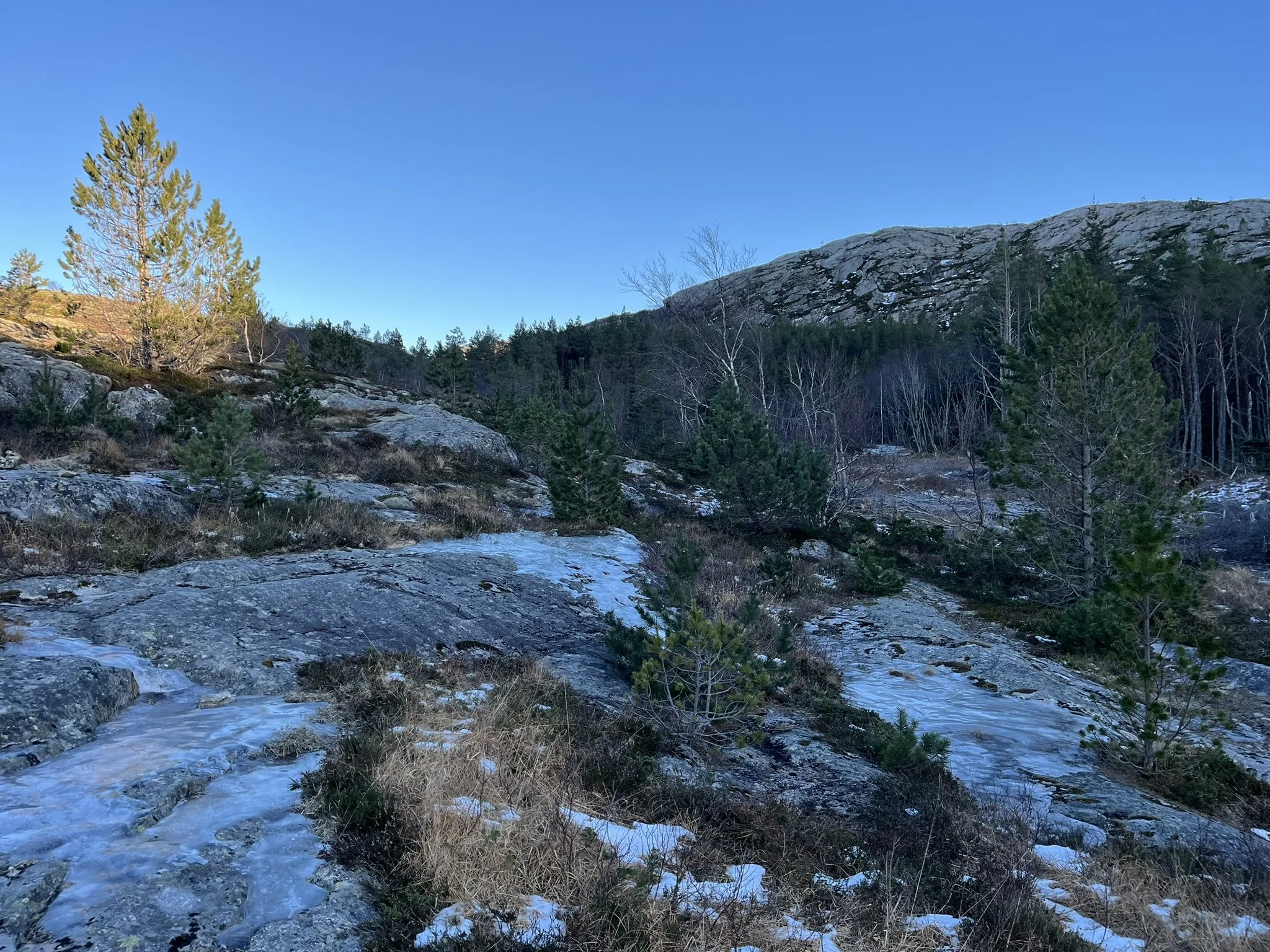 Planlegging og innkjøp i Osen kommune