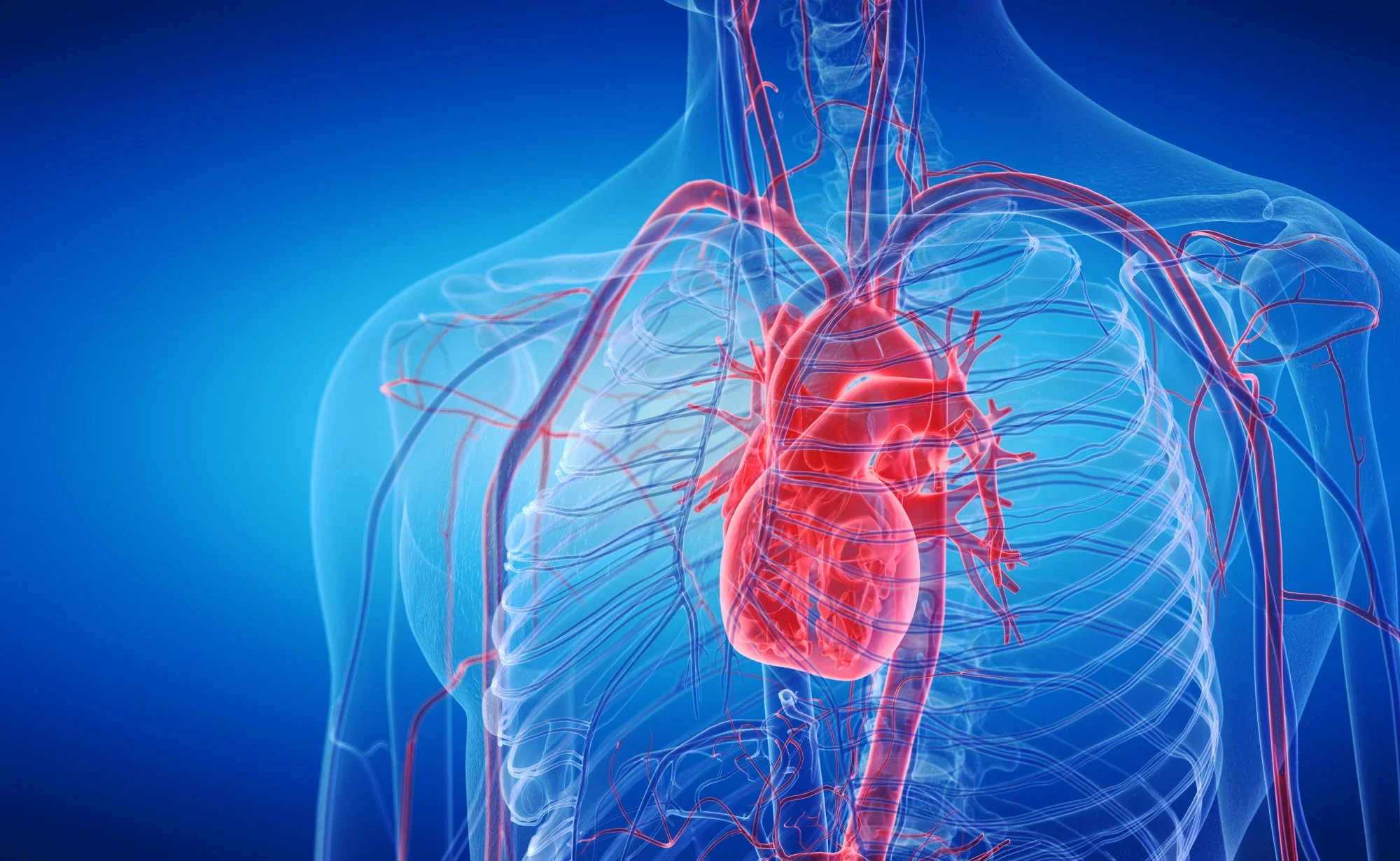 Tratamiento Integral de la Miocardiopatía Dilatada
