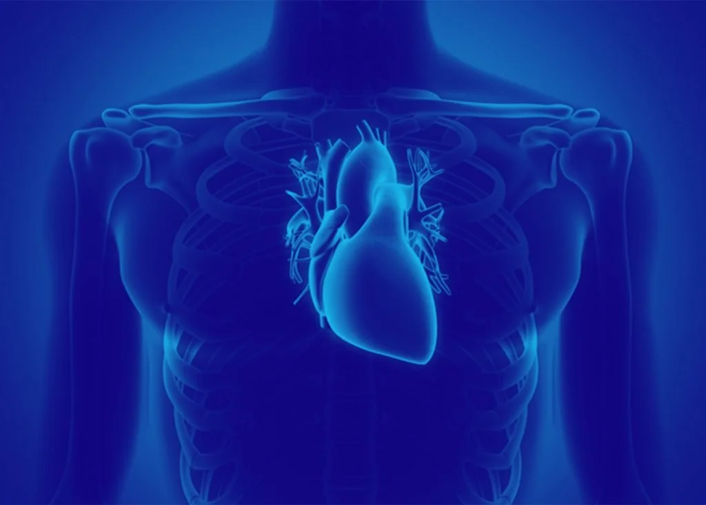 Miocardiopatía Arritmogénica: síntomas y tratamiento
