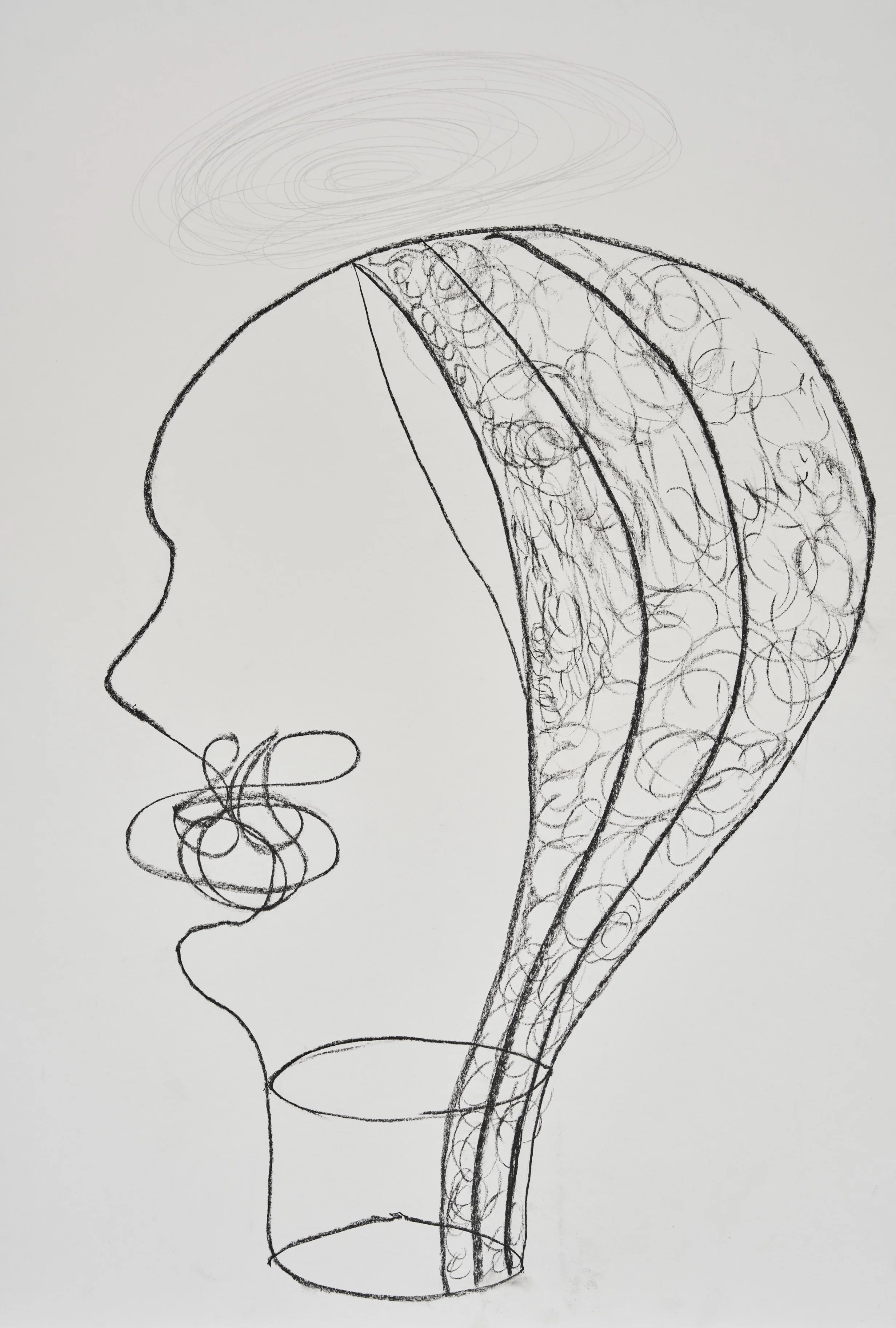 Enrico David, Cortex, 2026. Graphite on paper, 68 x 50 cm. 