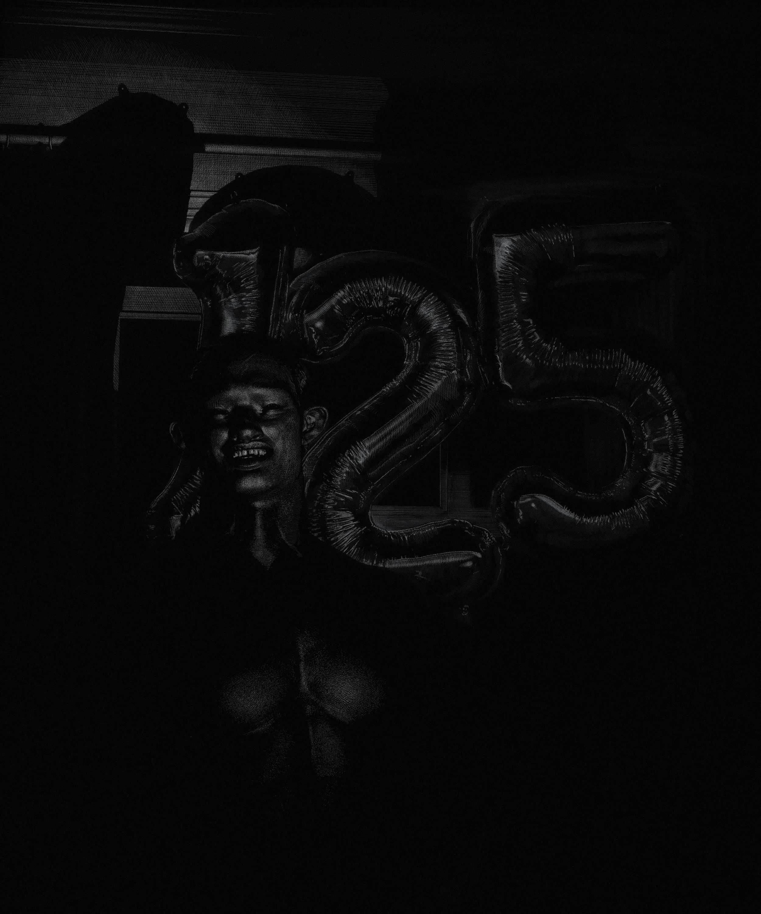 Hardy Hill, Figure in photograph 3, 2026. Cliché verre on fibre paper, 61 x 51 cm.