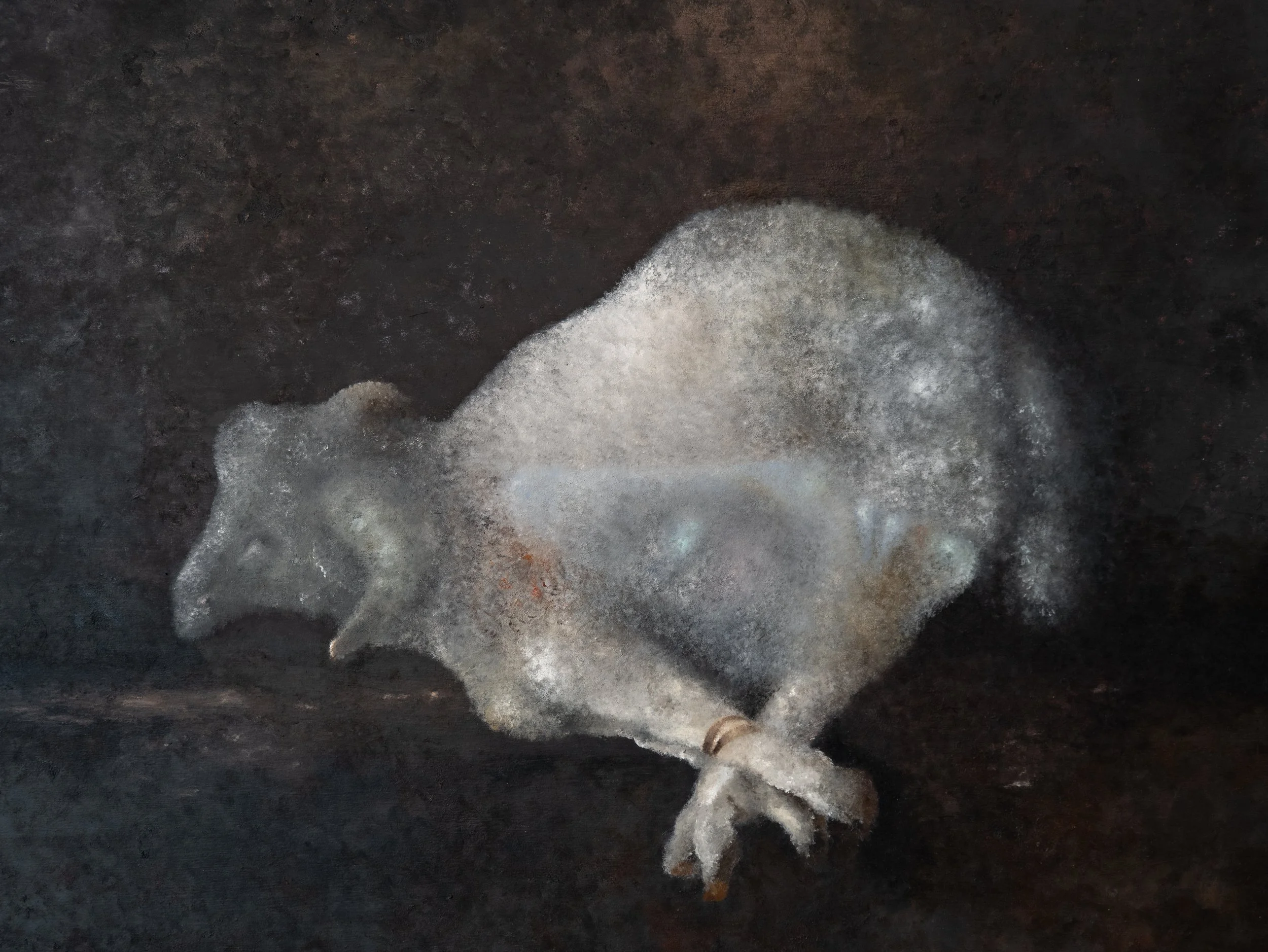 Lara Shahnavaz, Shadowland, 2026. Oil on canvas, 122 x 92 cm. 