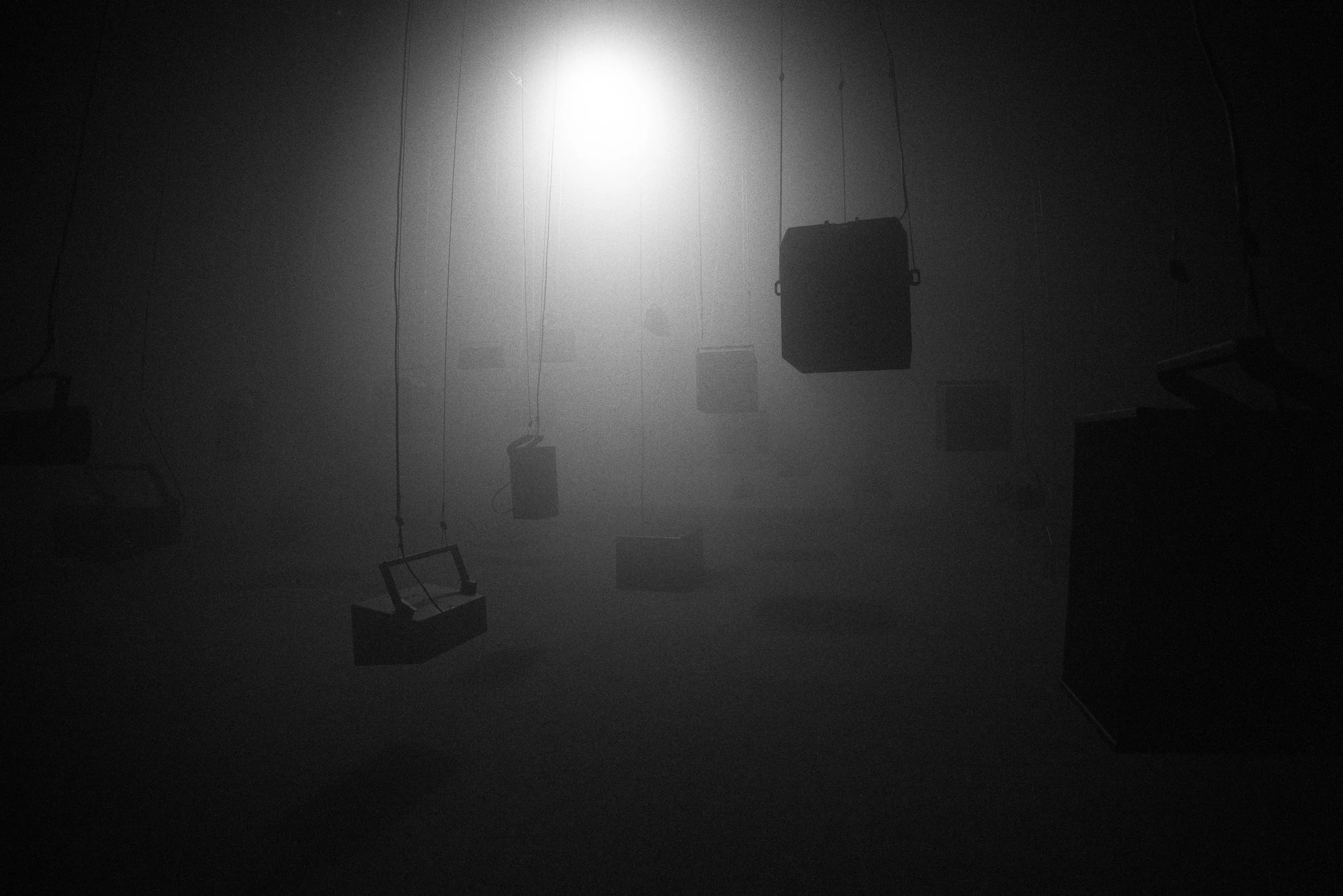 251127_FB_A Predatory Chord_AdamKenna_1.jpg