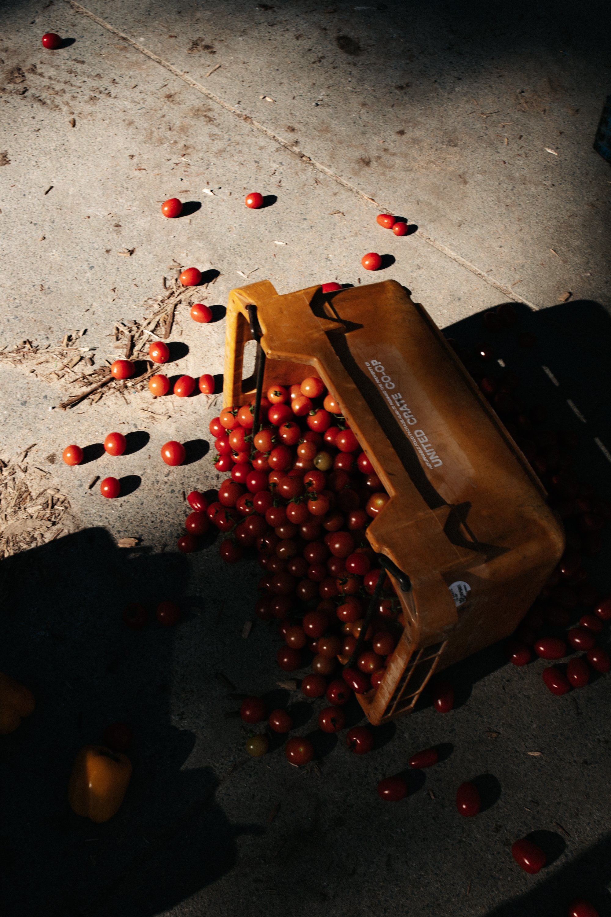 AK-4908.jpg
