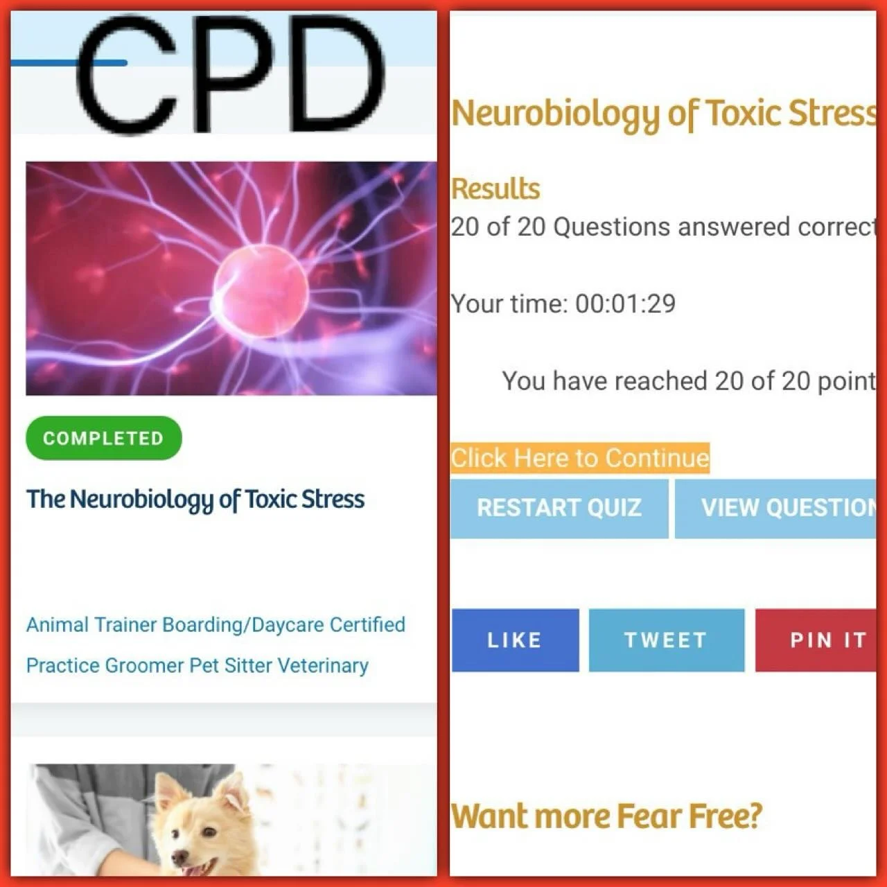 Continuing professional development with Fear Free Pets - how stress affects our pups 😖 #cpd #learninganddevelopment #fearfree #fearfreegroomer #fearfreecertified #fearfreeprofessional #holisticdoggroomer #holisticdoggrooming #fearlessfurdoggrooming