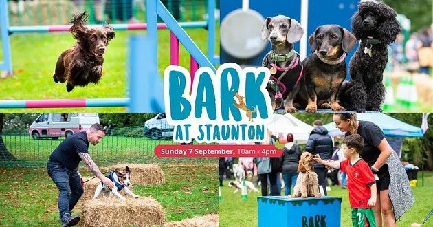 We had a lovely time with Teddy, Pippin &amp; Duque at @stauntoncountrypark yesterday! 🏞️ Lots of stalls and activities (and puppies 🐶) Saw our friends @chichesterwoodyswoodfiredpizza who served their delicious 🍕 Pippin met a fellow German Spitz, 