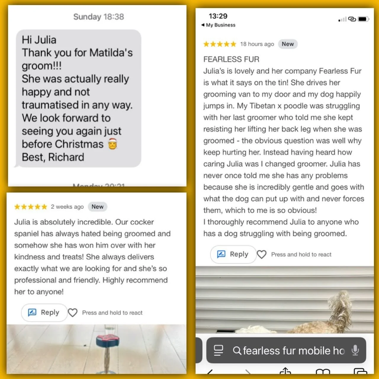 Receiving positive feedback and reviews is so important to me! #happyclientshappyme #positivefeedback #5starreview #fearless #fearlessfurdoggrooming #nervousdogs #holisticdoggrooming #chichesterlife #westsussexlife