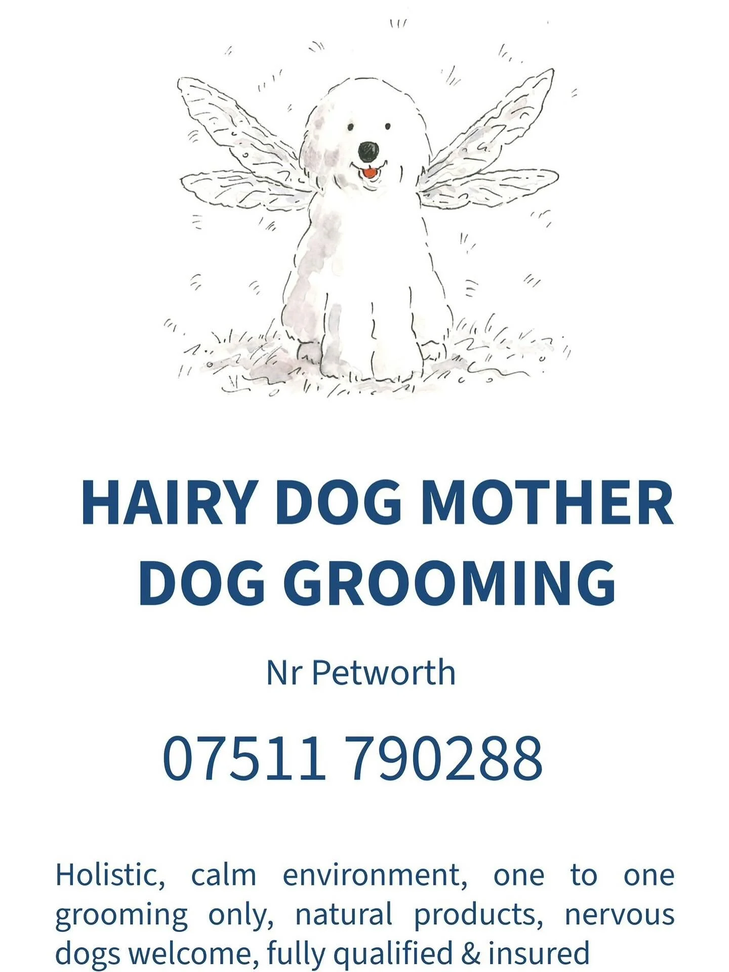 🐾Looking for a groomer who truly cares? 🐾 I highly recommend Lisen at Hairy Dog Mother Dog Grooming- she&rsquo;s taking on new clients in the Petworth area🌟 Lisen is kind, calm and conscientious, as well as force-and restraint-free, and only works