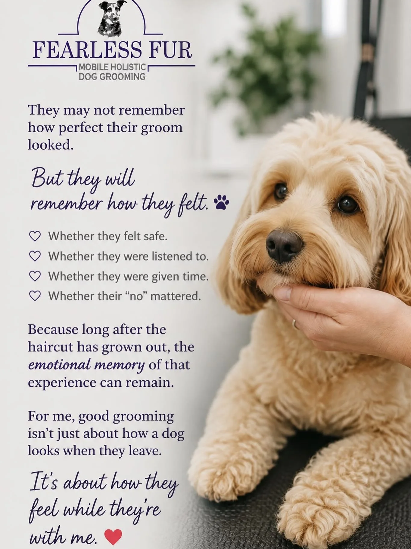 Humanity before vanity. Always. ❤️🐾
A perfect haircut should never come at the expense of a dog&rsquo;s emotional wellbeing.
Grooming is something we do with a dog, not to them. Their comfort, communication and consent matter more than perfection.
B