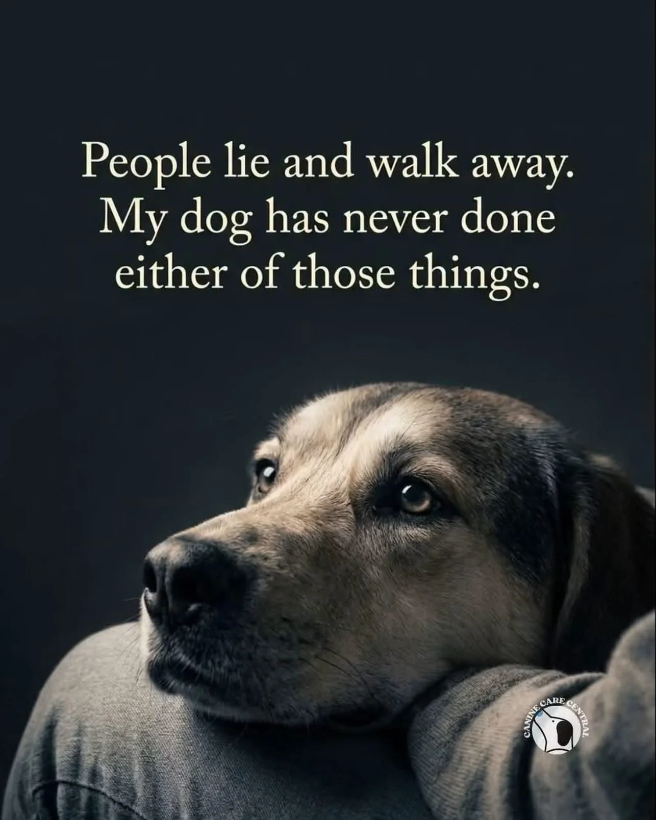 Humans are complicated, unpredictable, and sometimes break your heart when you least expect it.
A dog gives you the exact same steady, unwavering loyalty every single day without conditions or motives.
That is why dogs are, simply the best 💜#dogsare