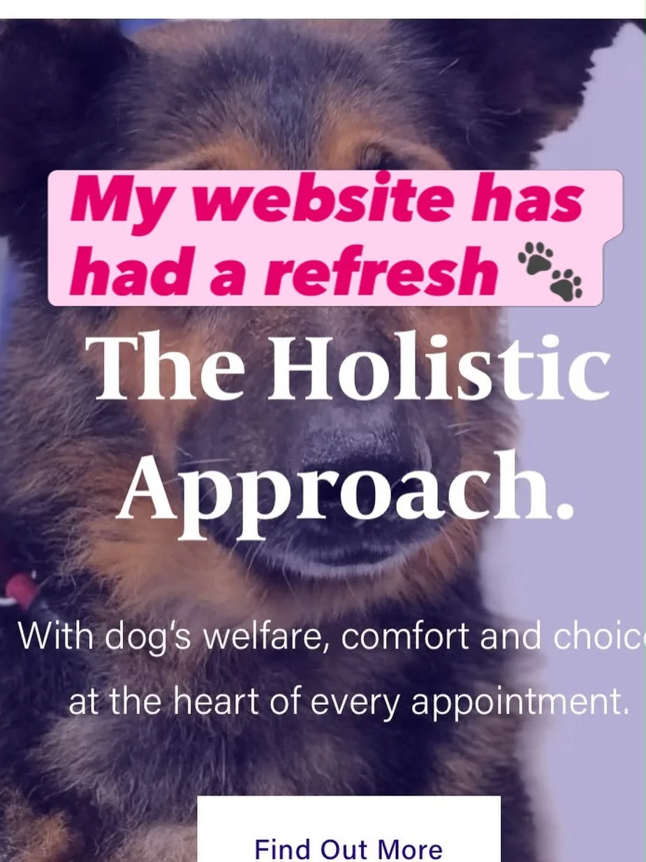 My website has had a refresh! 🐾
I wanted it to better reflect how I work: one-to-one, consent-based grooming, at your dog&rsquo;s pace, with their welfare, comfort and individual needs guiding every appointment.
Updated terms and conditions will als