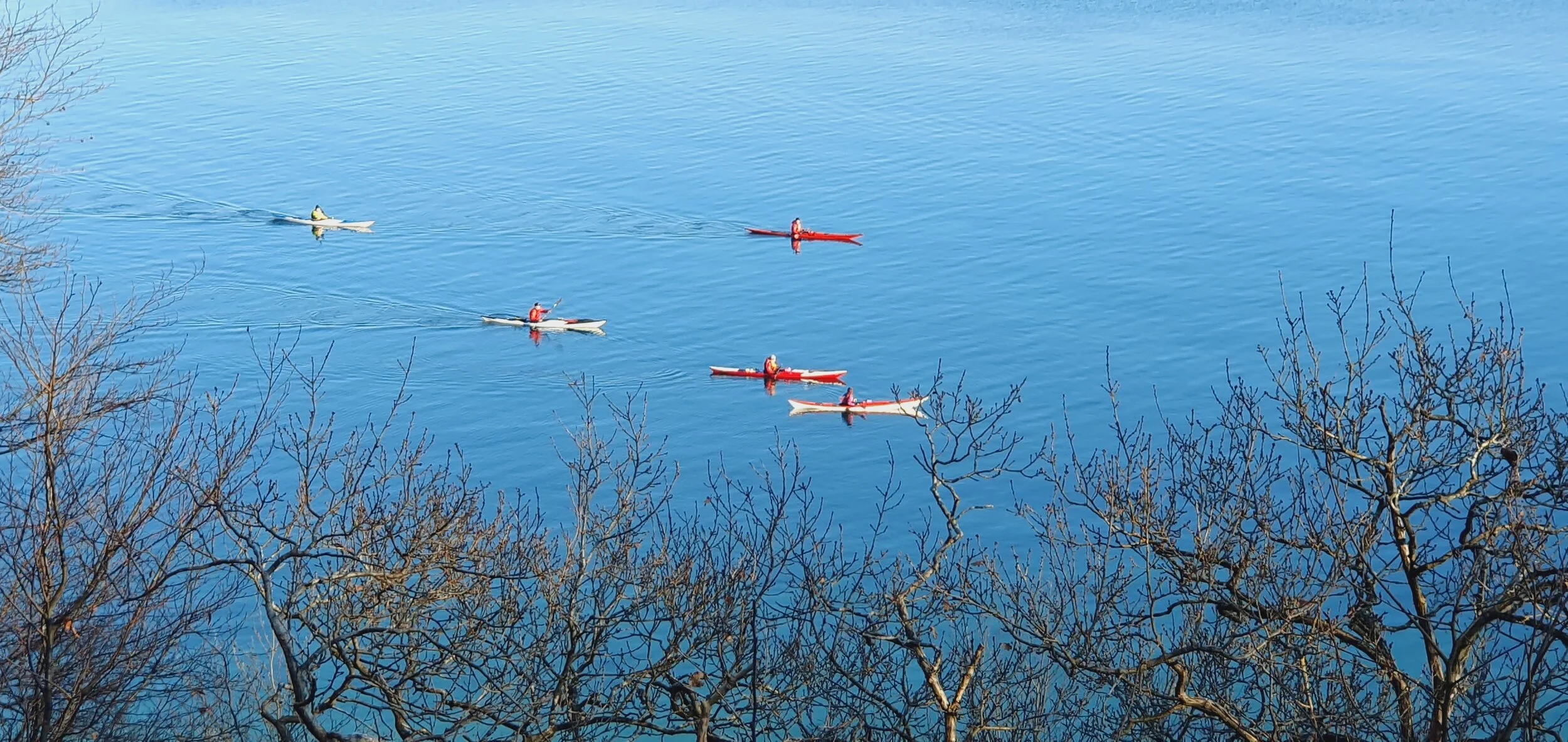 Webinar: Idrætsvaner under corona. Vender de aktive tilbage?