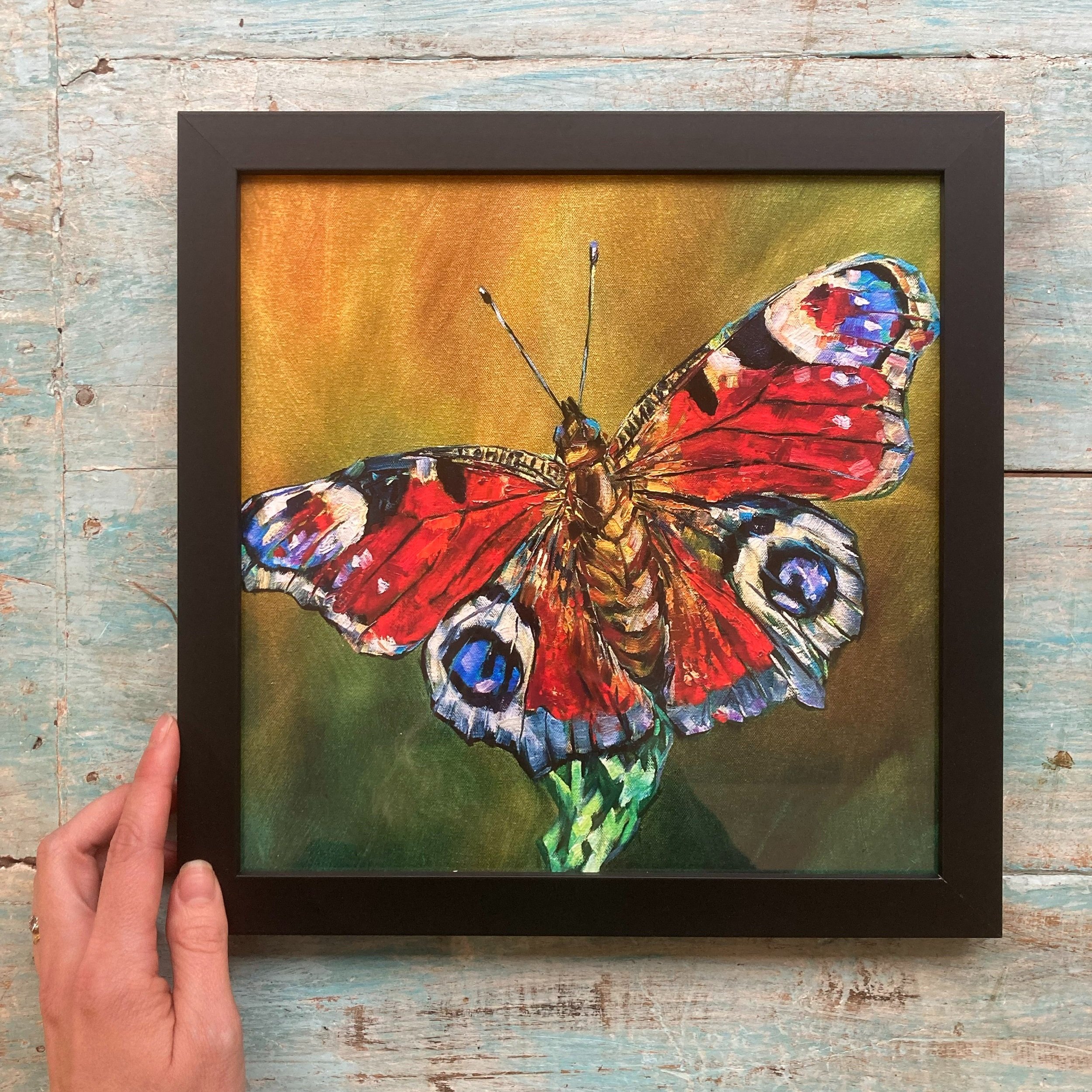 Butterfly - Framed Print