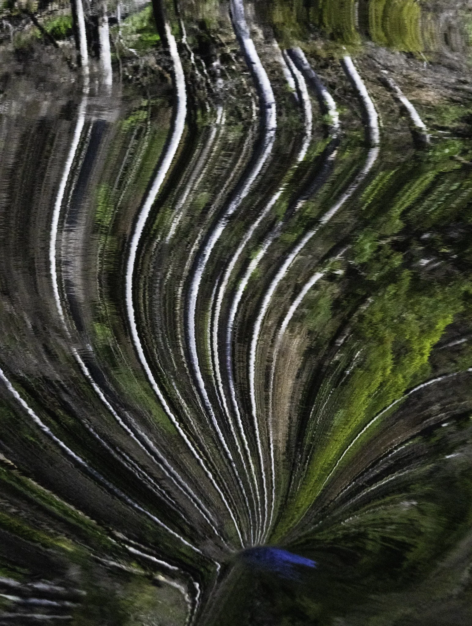 experimental patterns.jpg