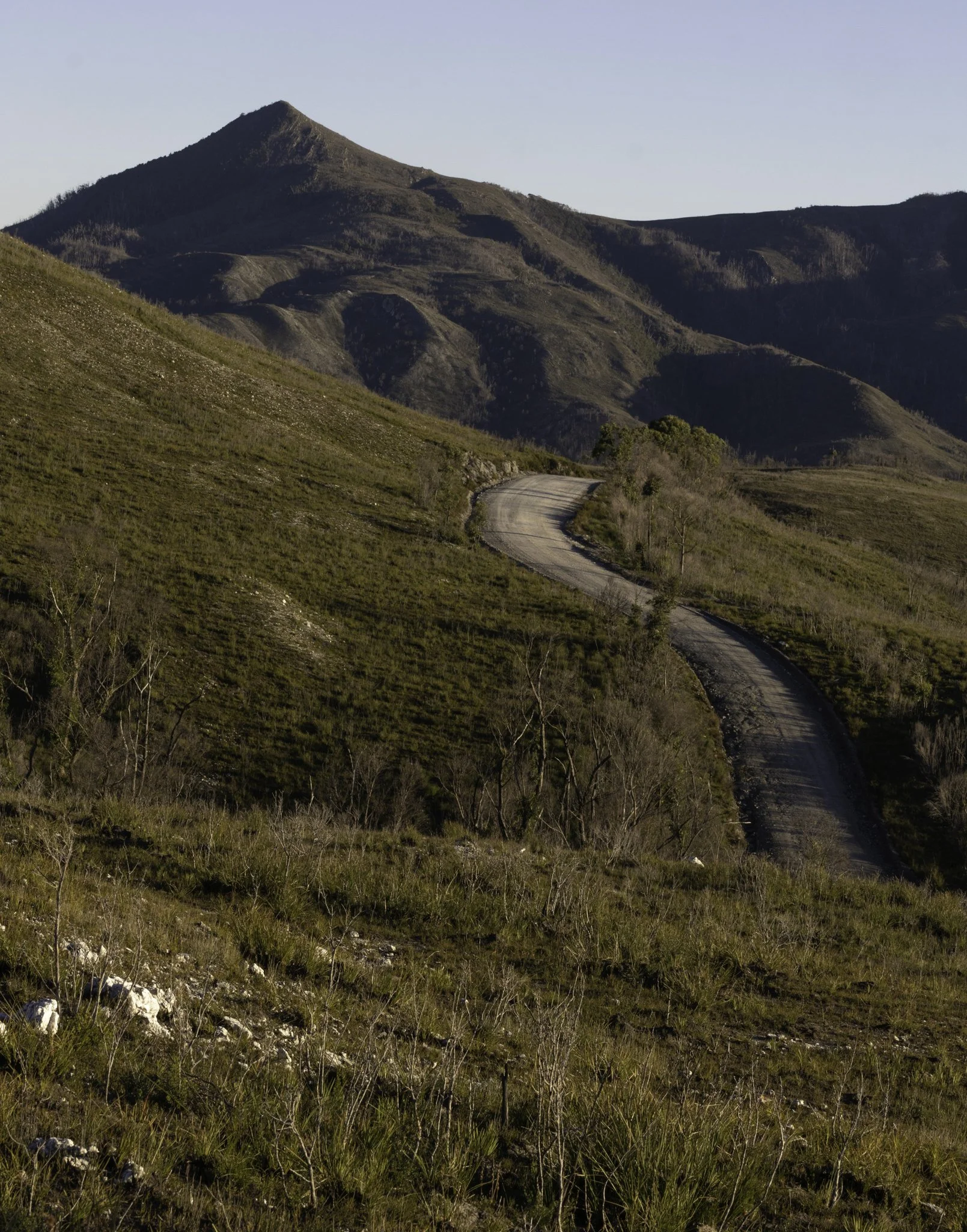 The winding road.jpg