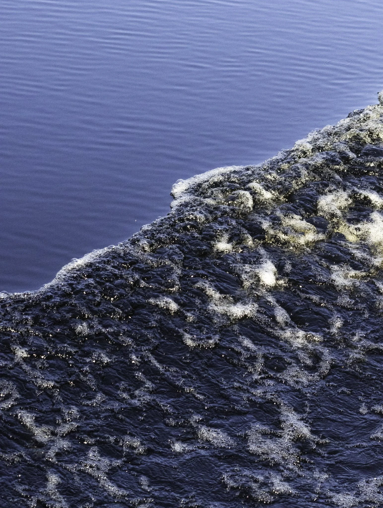Pieman River 2.jpg