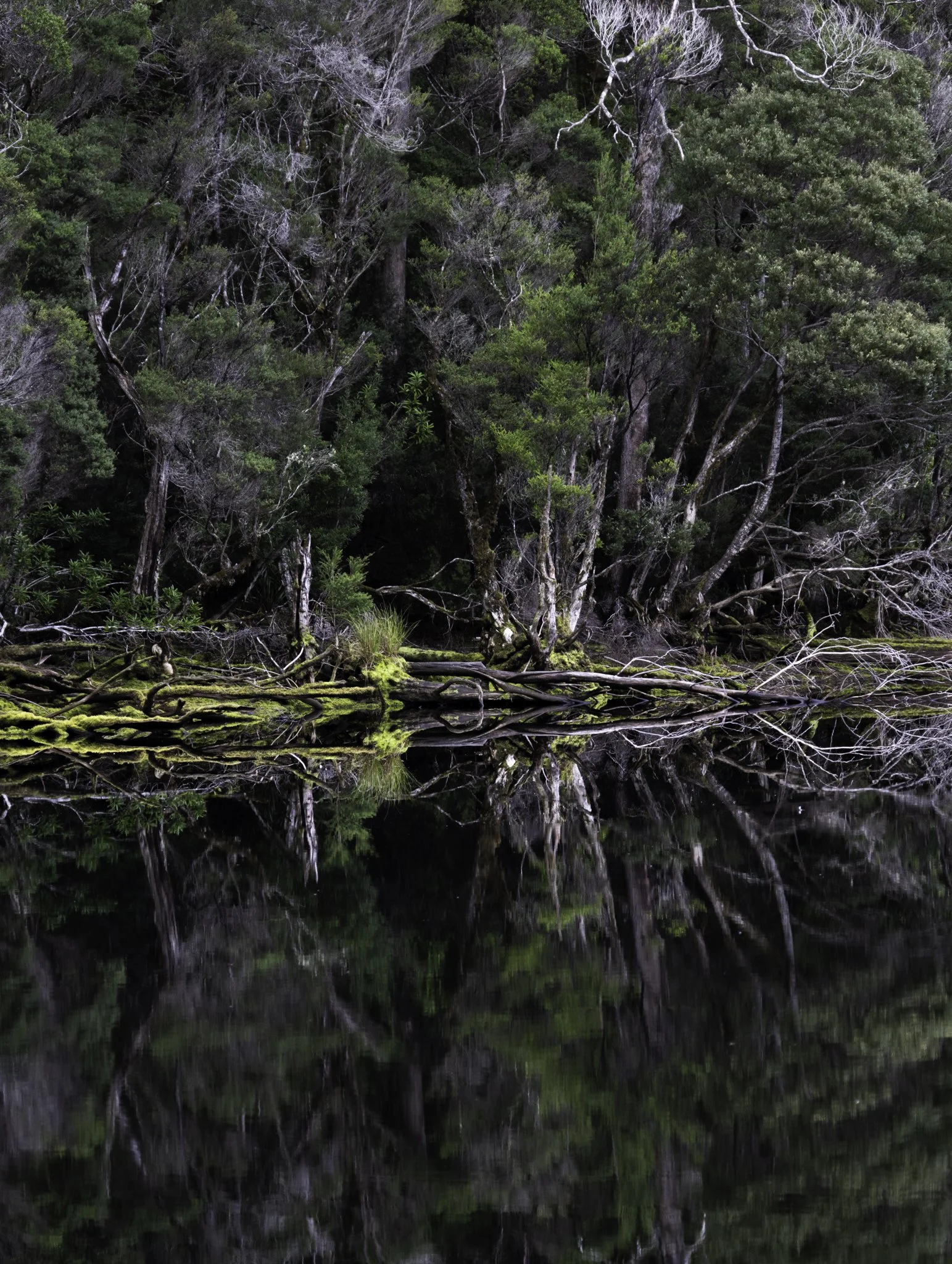 Lake Chisolm 5.jpg