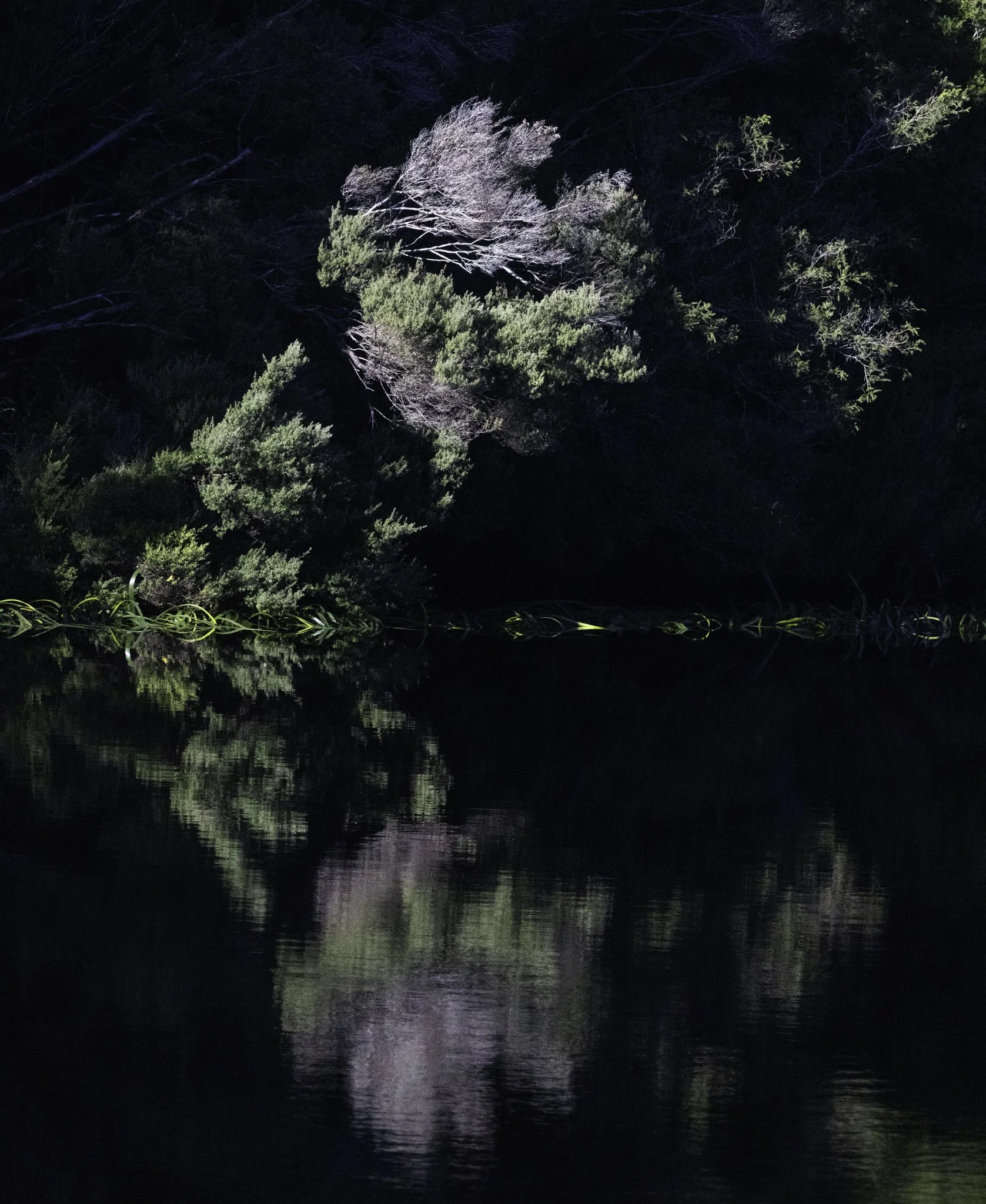 Pieman River 1-2.jpg