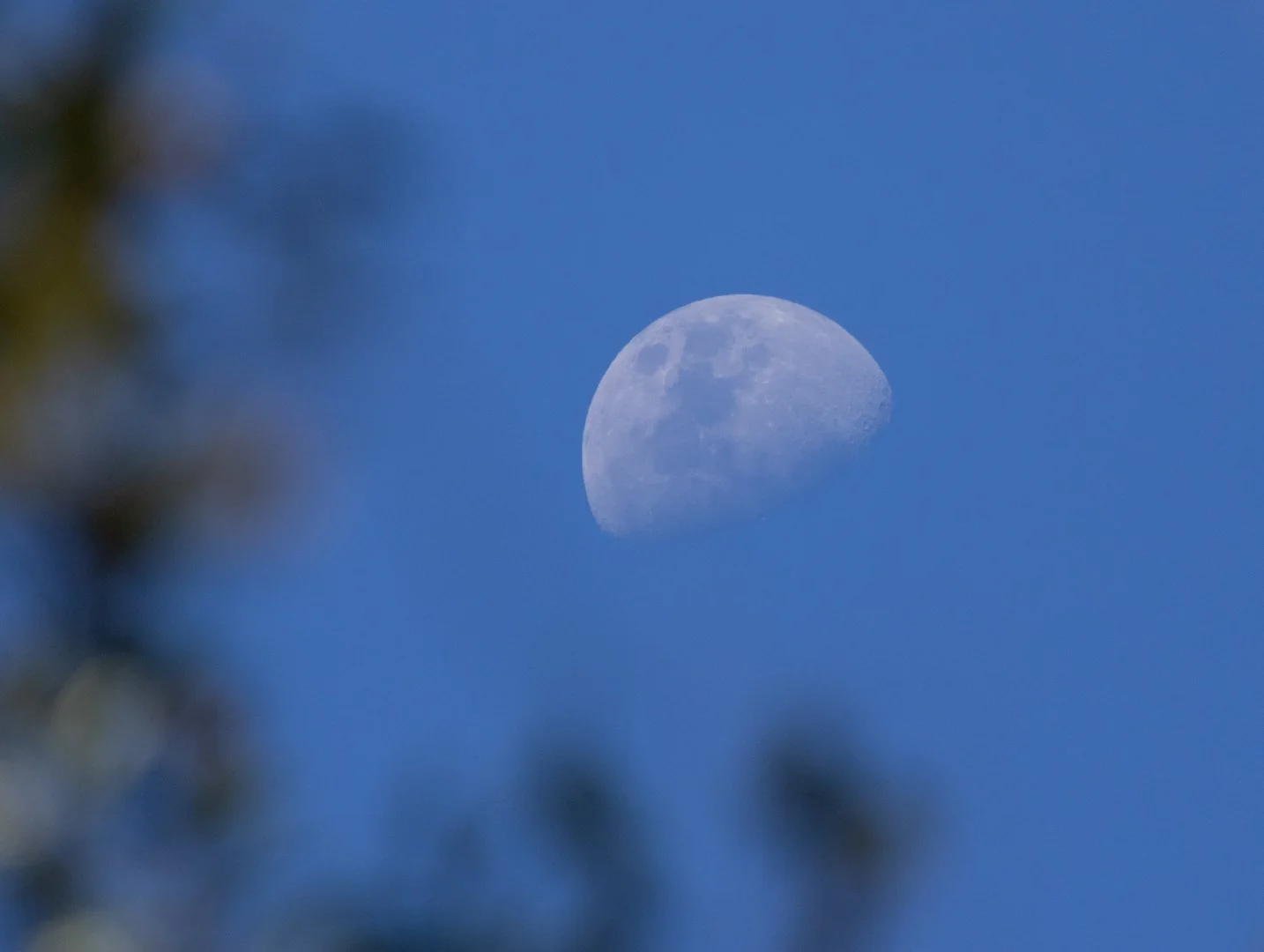 daytime moon 1.jpg