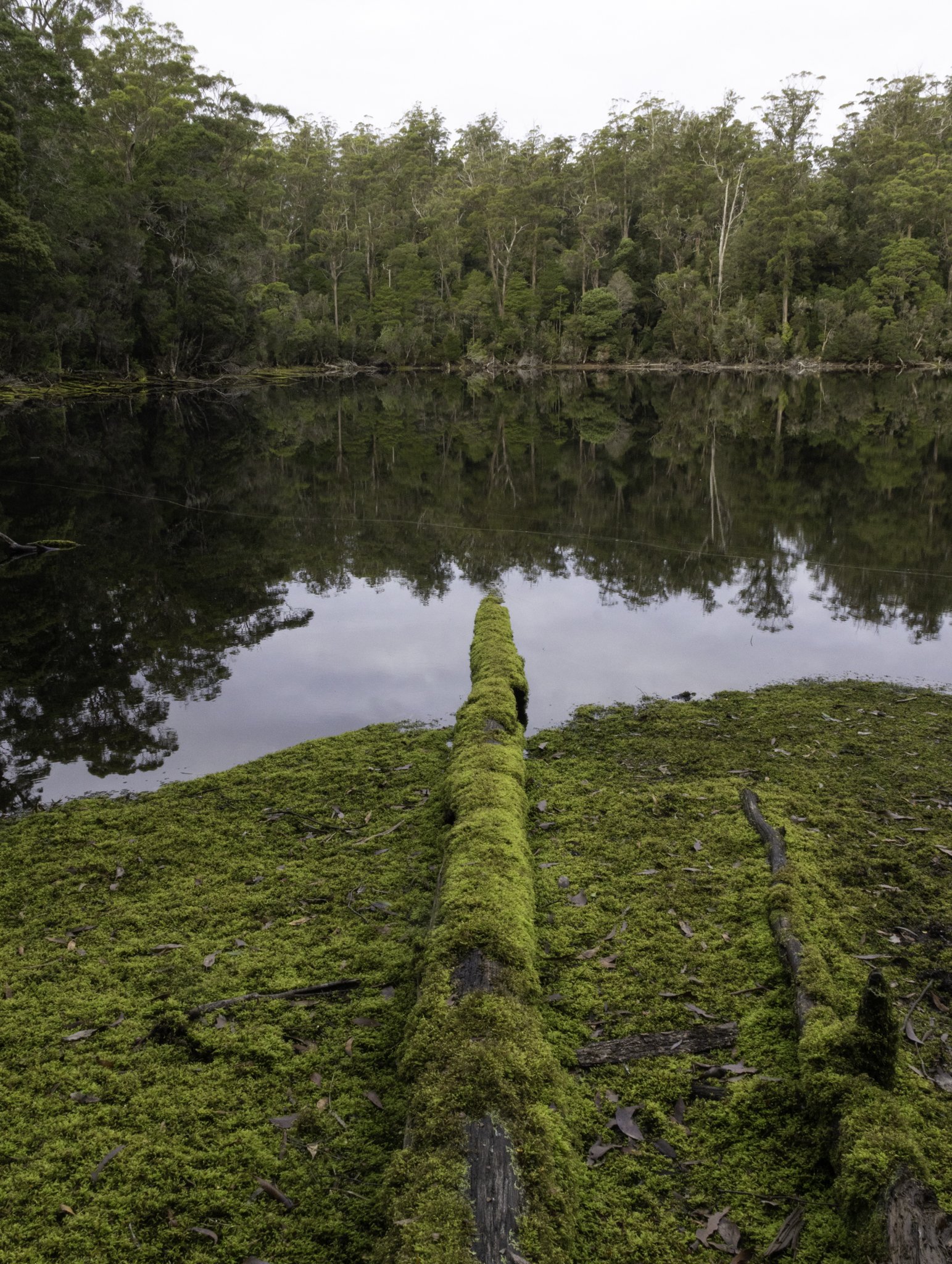 Lake Chisolm.jpg
