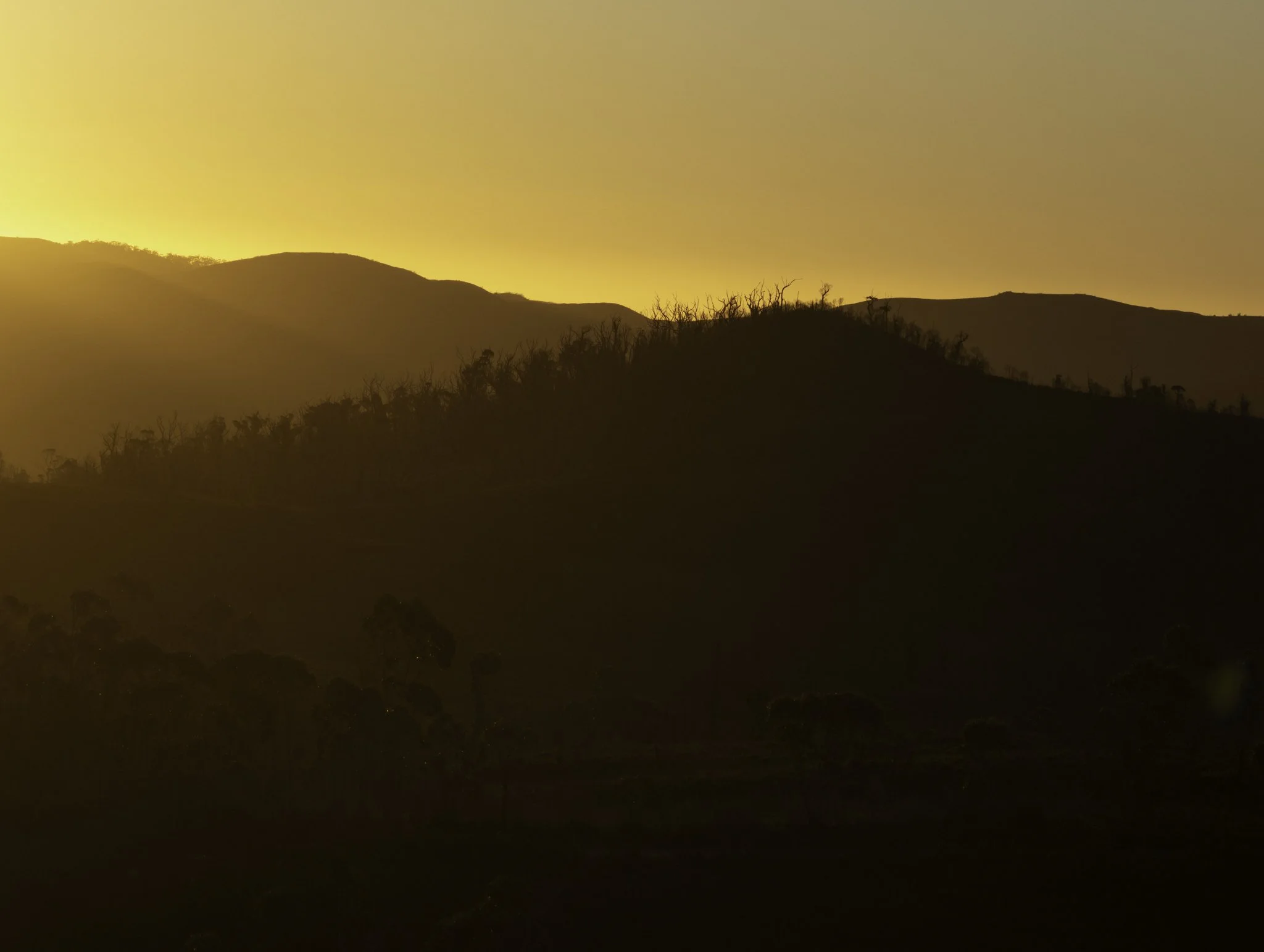 Sunset 2.jpg