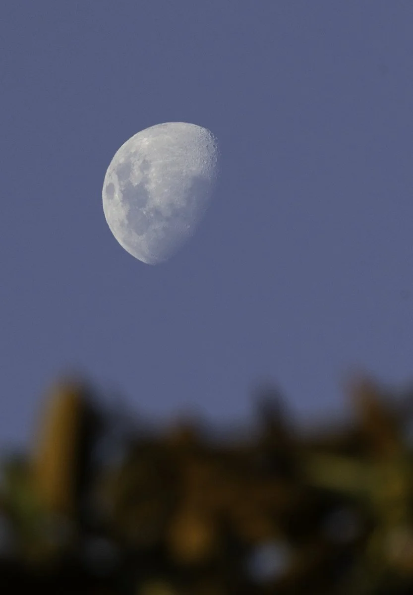Daytime Moon.jpg