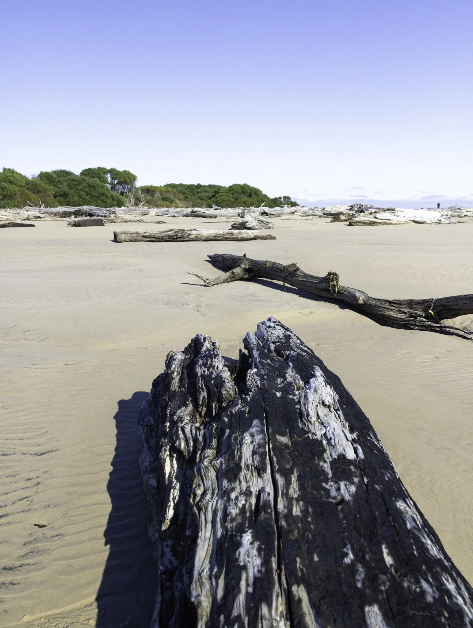 Beach Pieman River.jpg