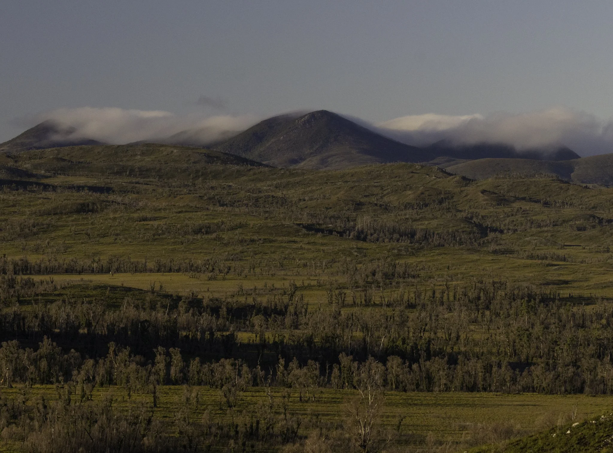Mountains.jpg