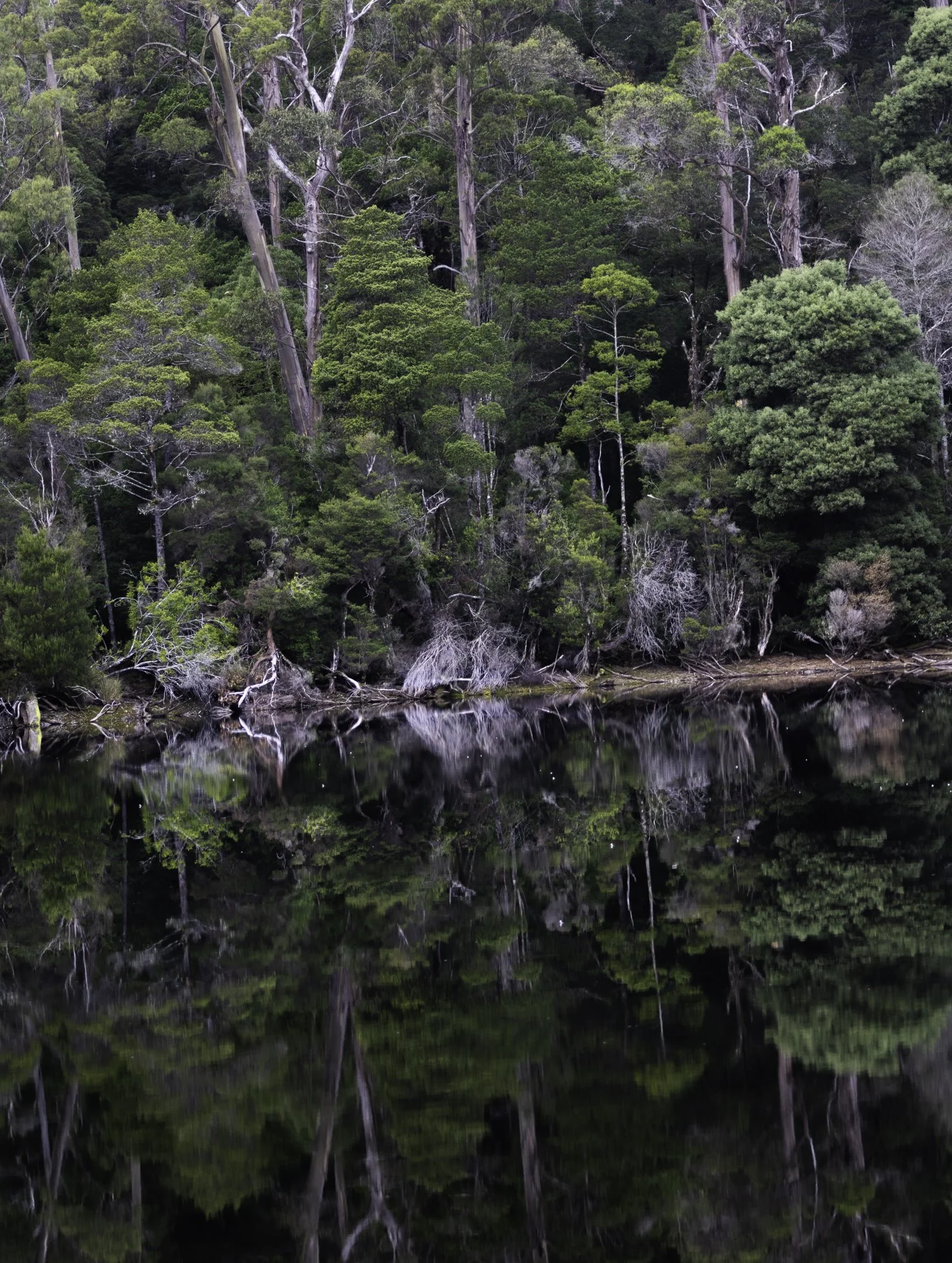 Lake Chisolm 3.jpg